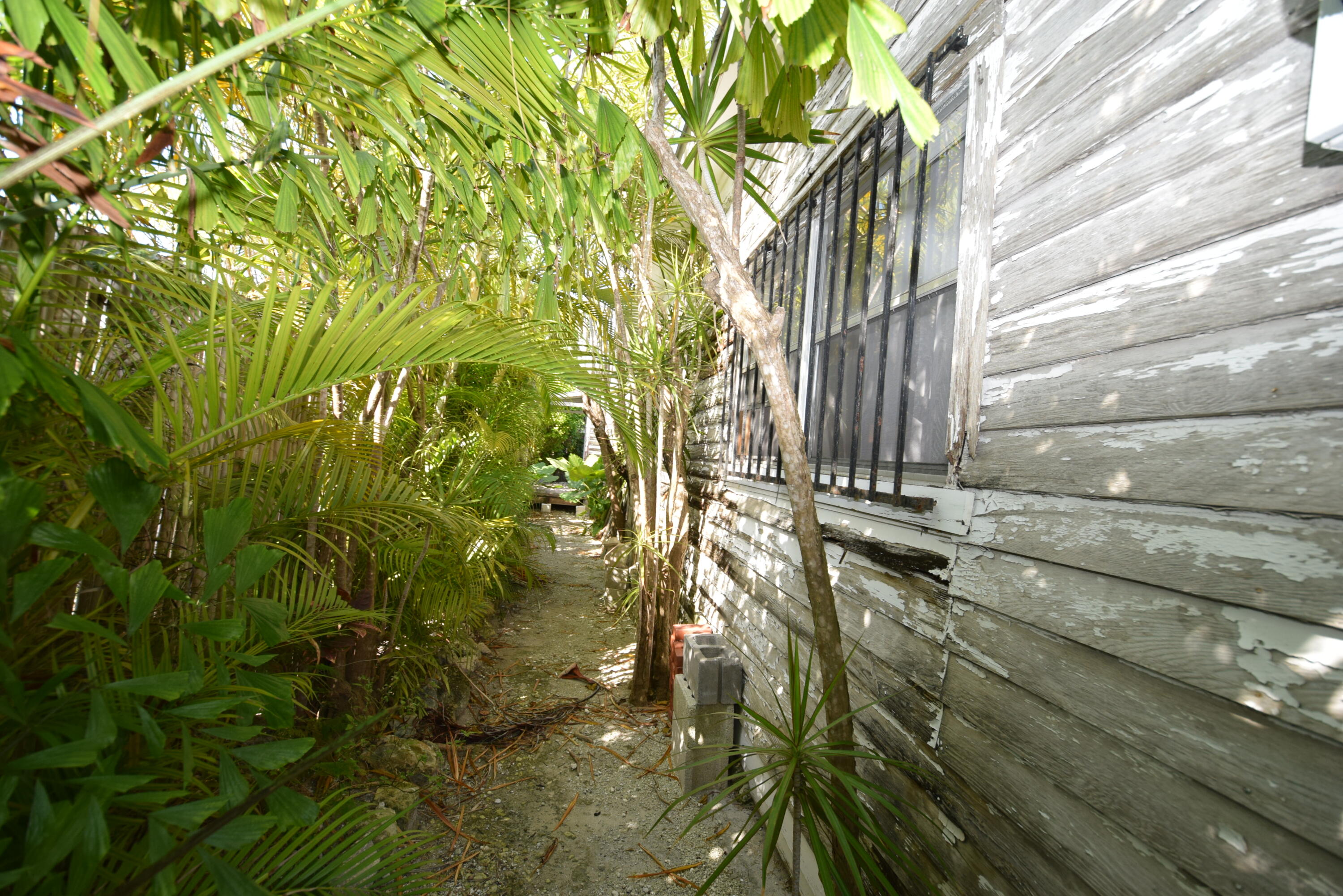 1102 Whitehead Street Property Photo 20