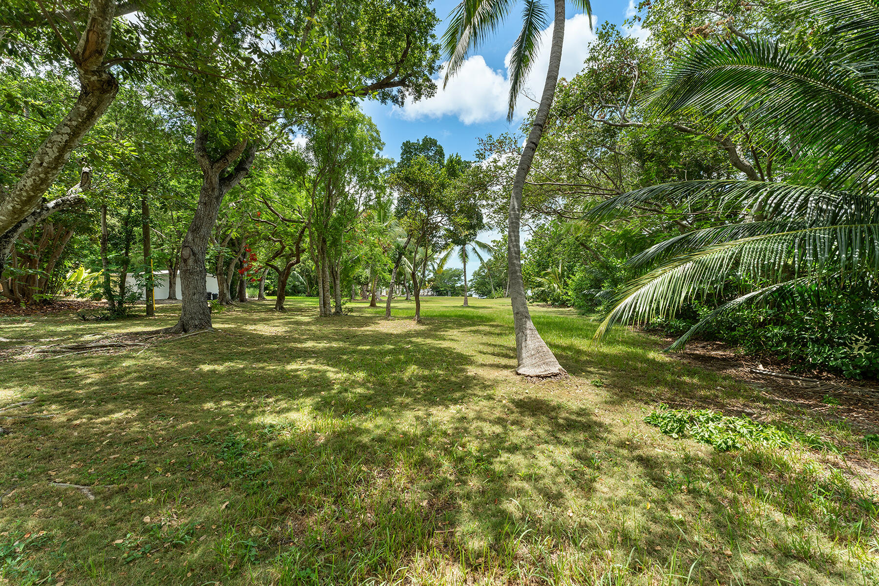 101780 Overseas Highway Property Photo 68