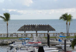 65821 Overseas Highway, 191 Property Photo 11