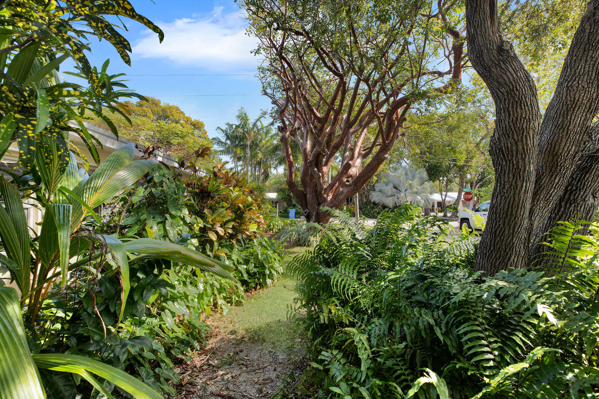 110 Pippin Drive Property Photo 8