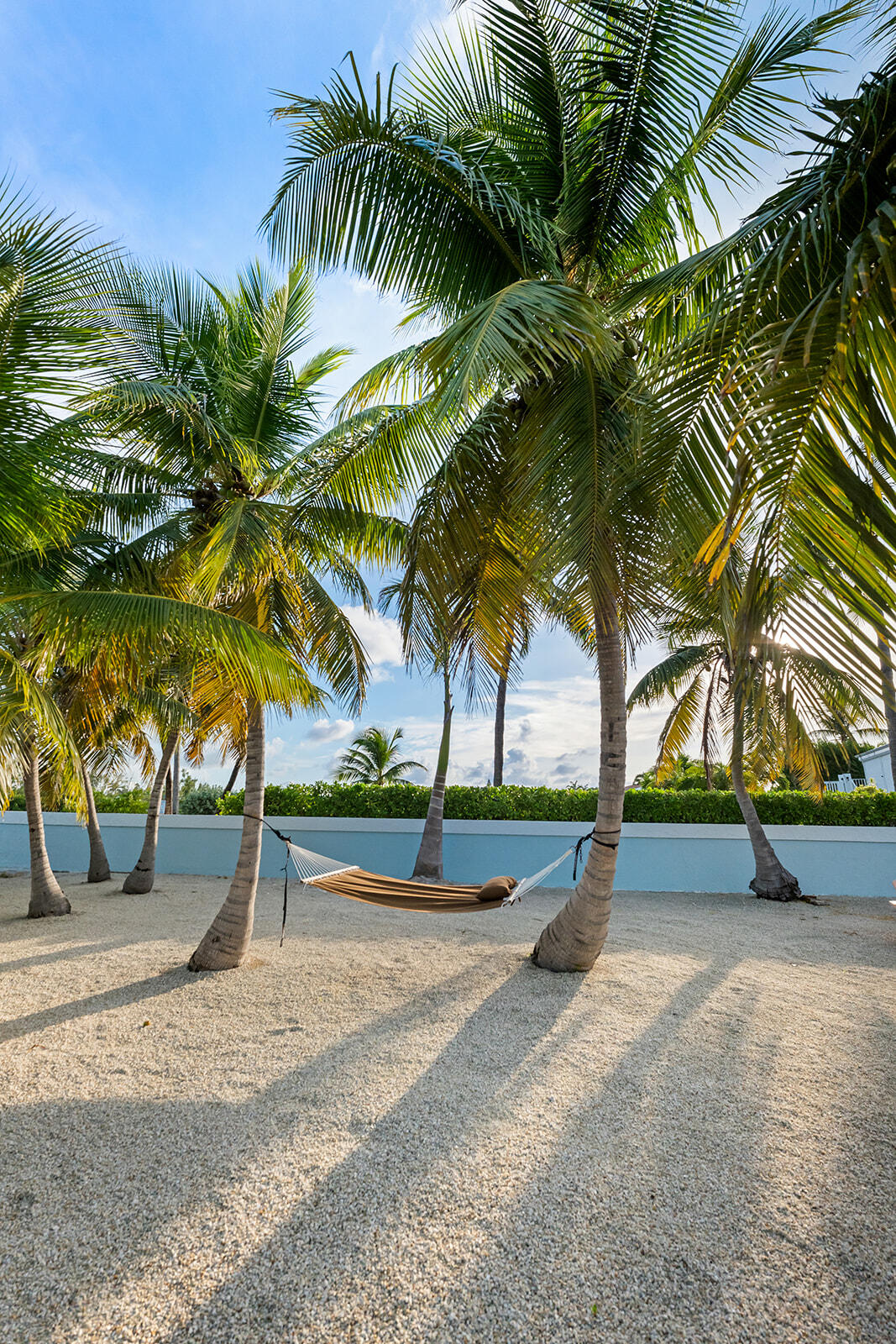 126 Calle Ensueno Property Photo 9