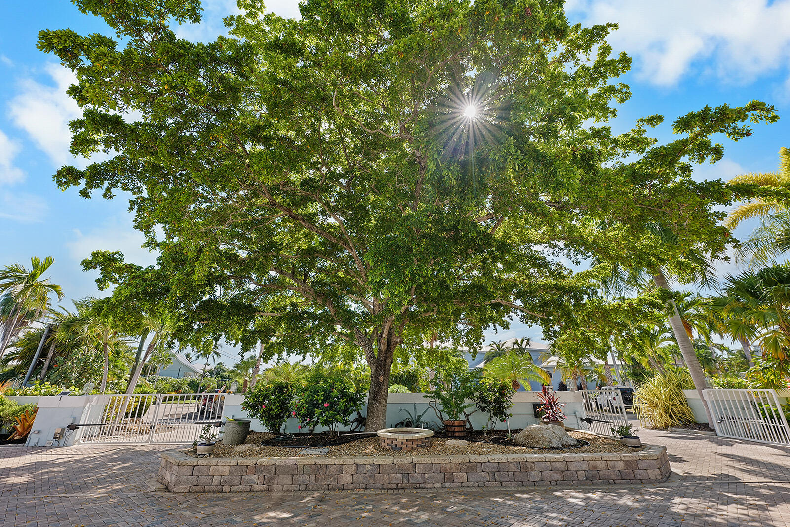 126 Calle Ensueno Property Photo 17