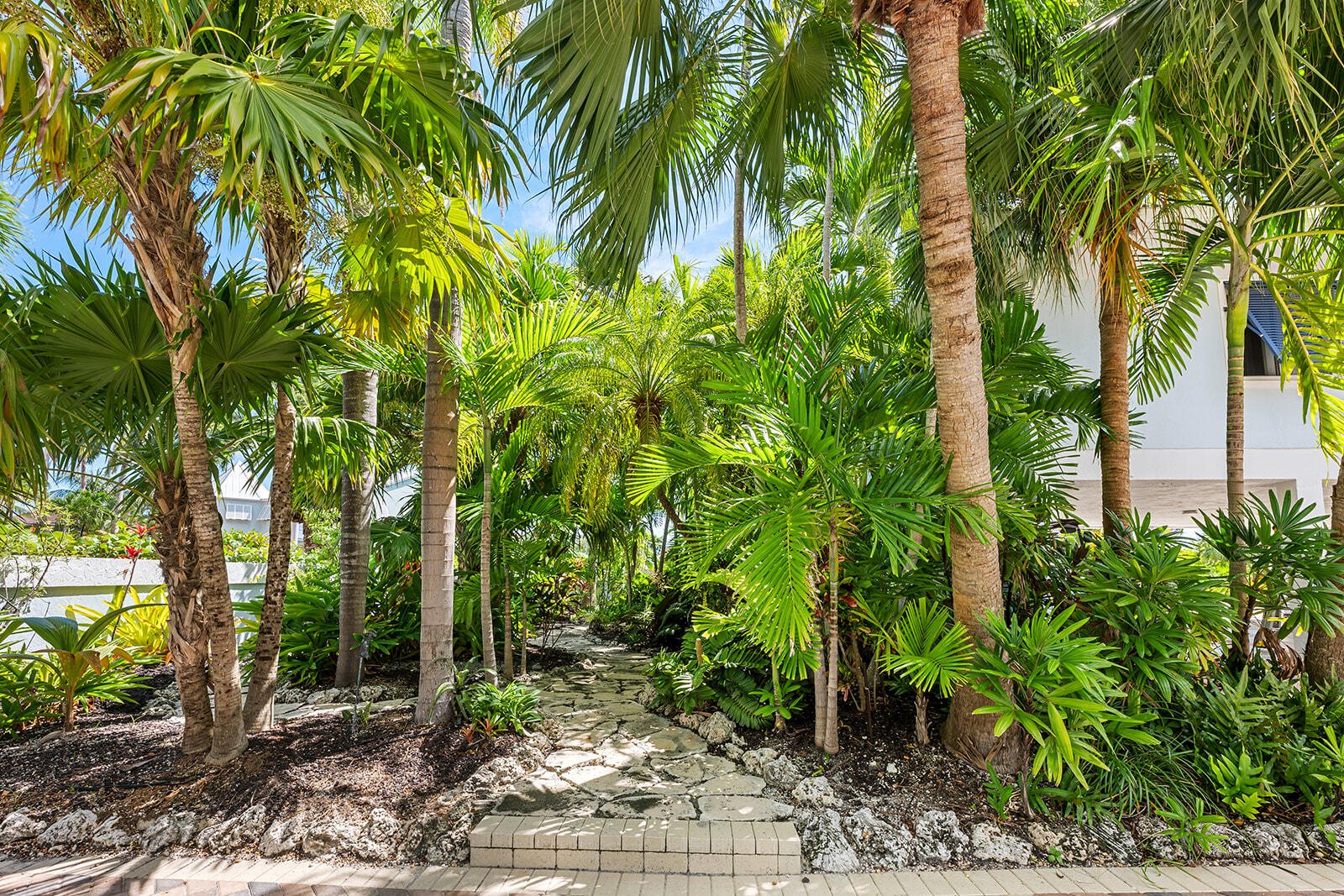 126 Calle Ensueno Property Photo 19