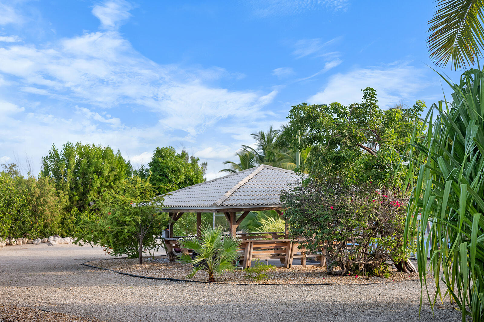 126 Calle Ensueno Property Photo 66