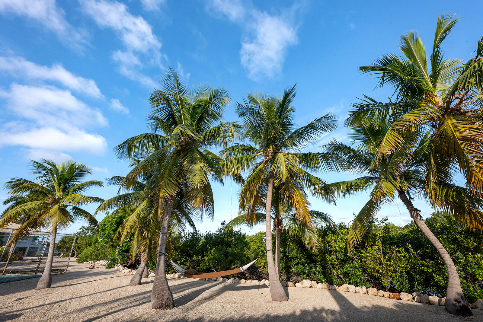 126 Calle Ensueno Property Photo 69