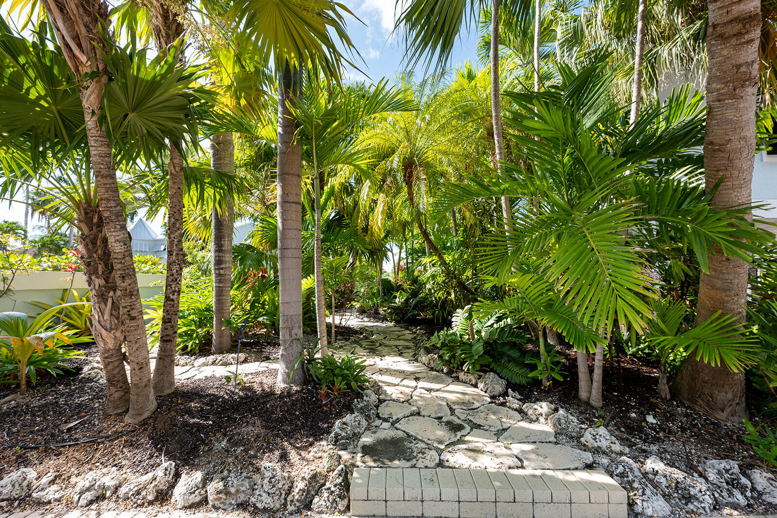 126 Calle Ensueno Property Photo 91