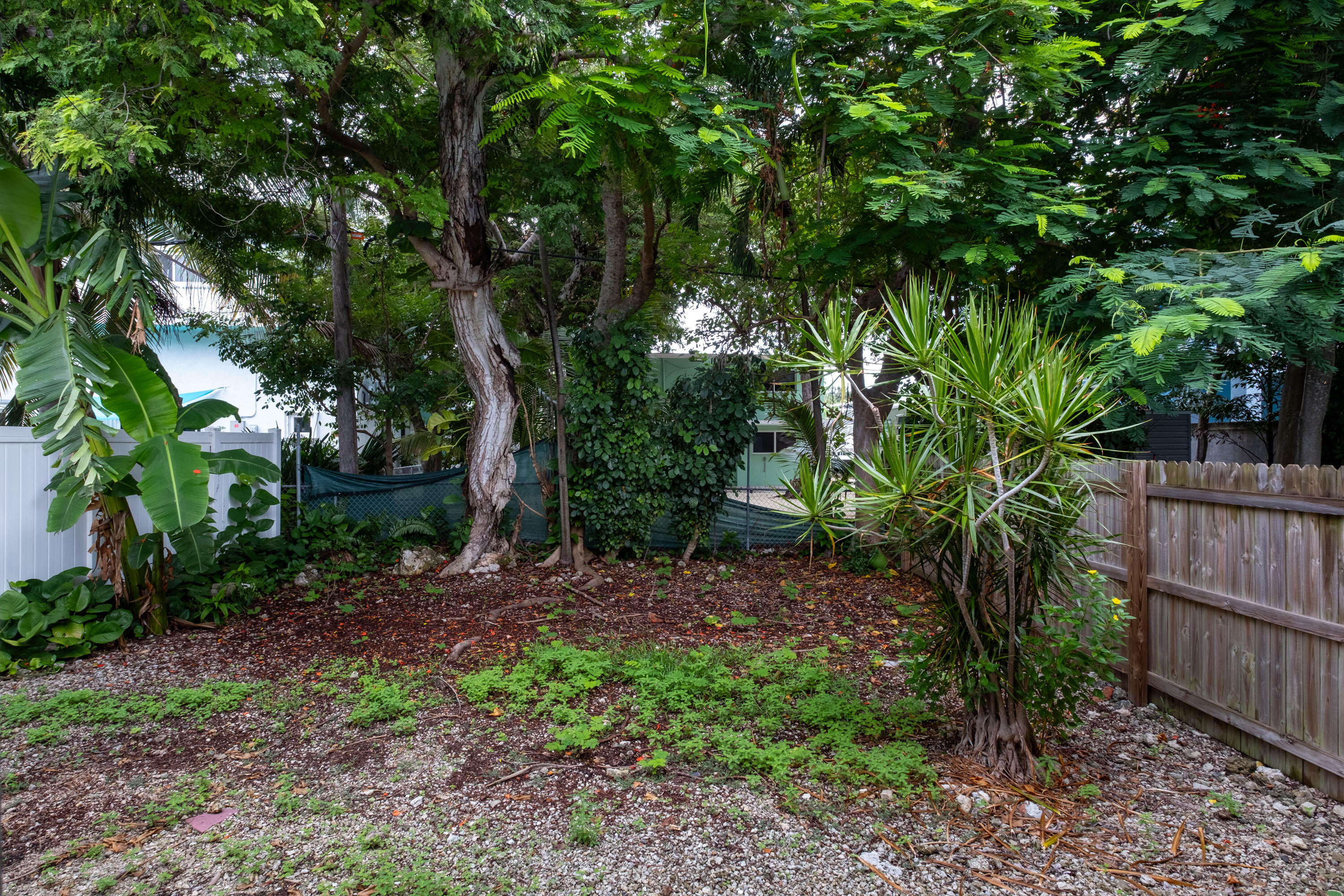 149 Orchid Street Property Photo 35