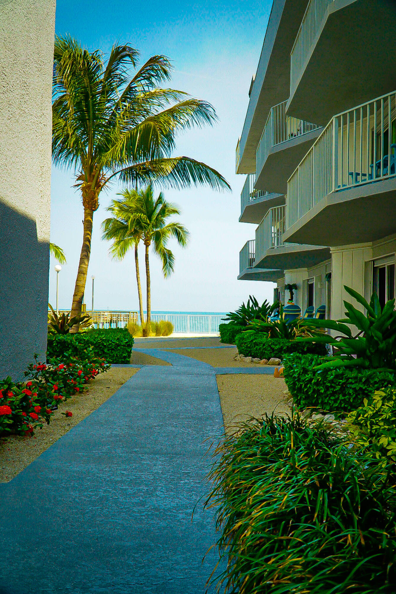 201 E Ocean Drive, 311 Property Photo 22
