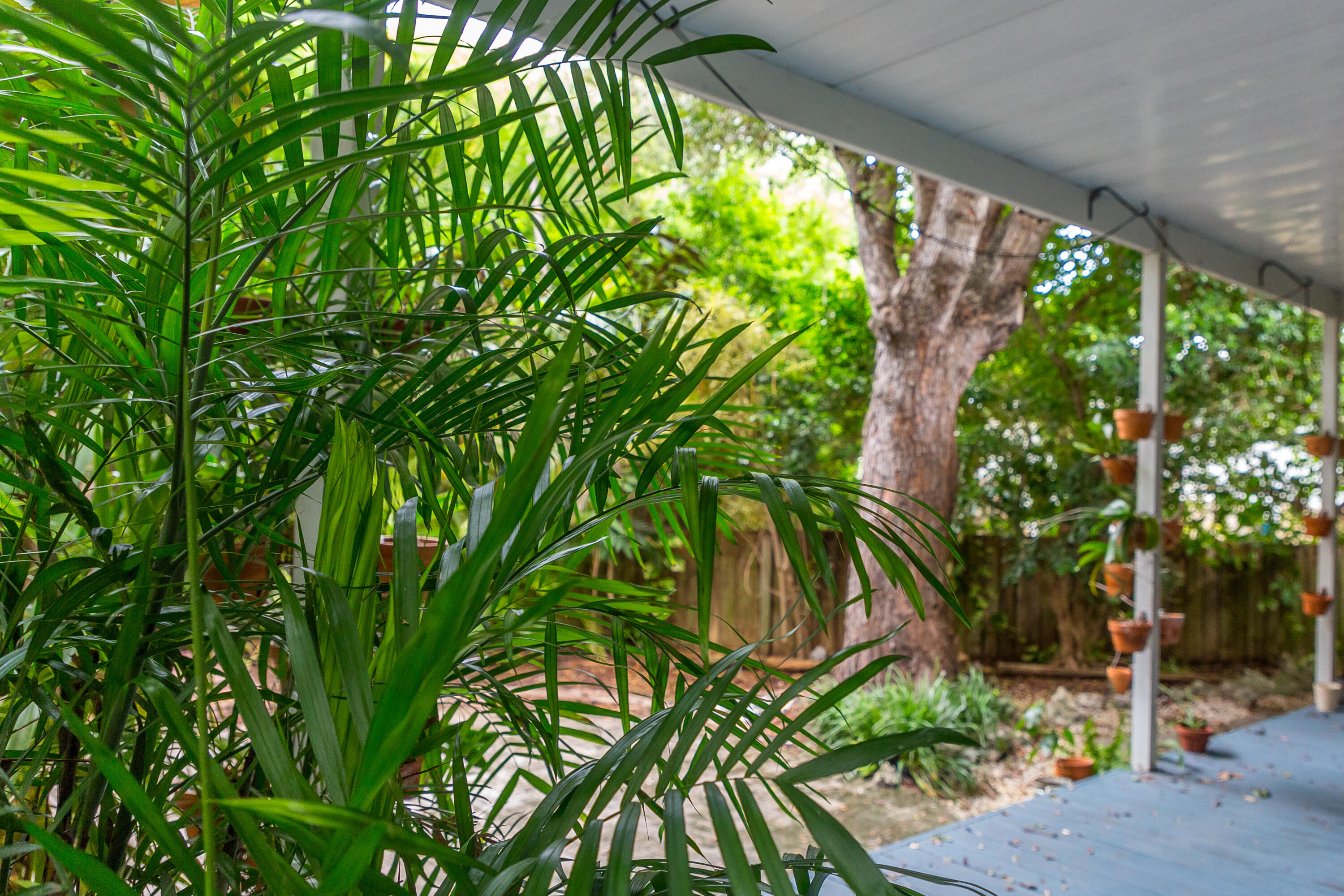 110 Knowles Street Property Photo 25