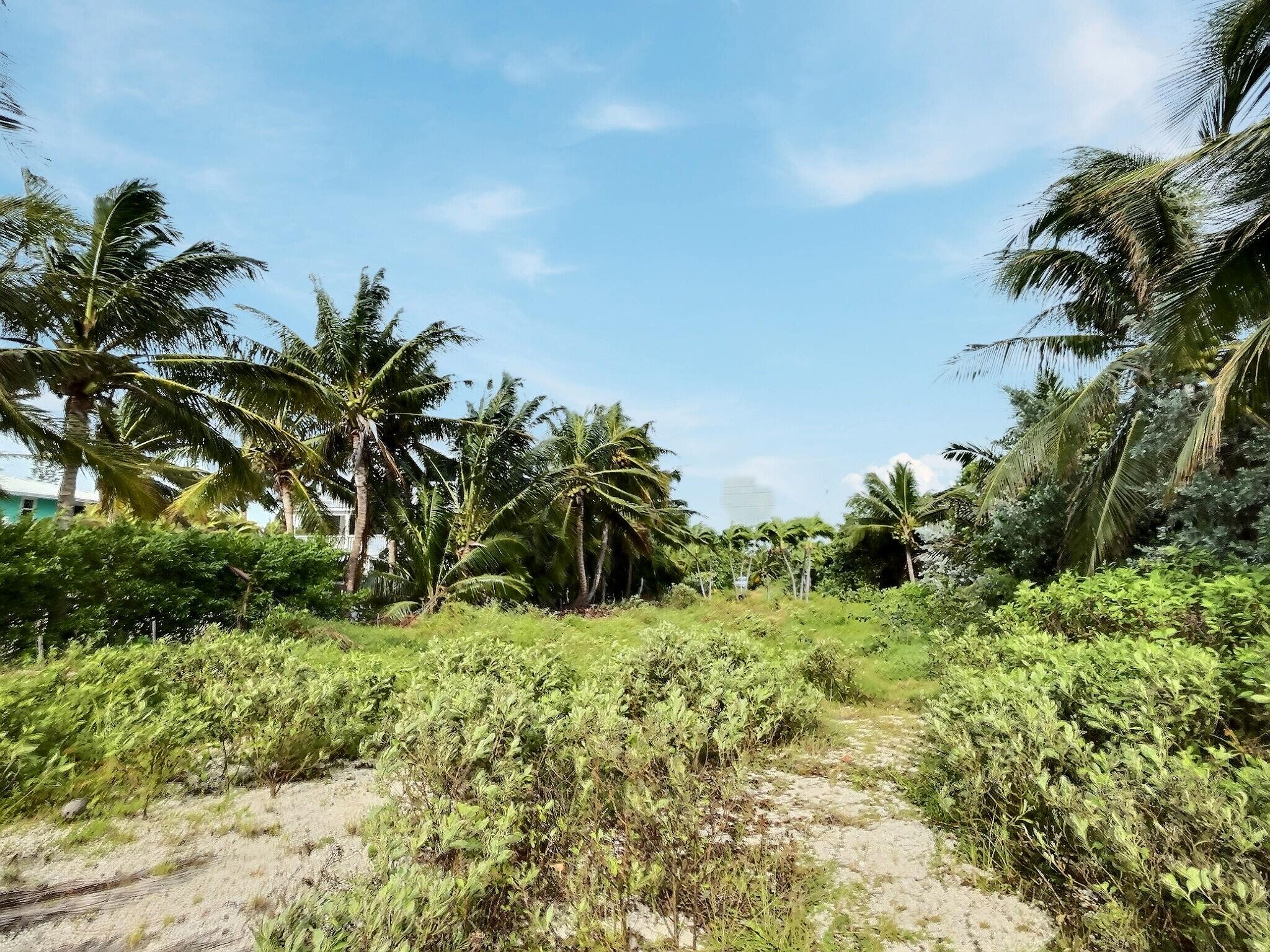 58622 Overseas Highway Property Photo 8