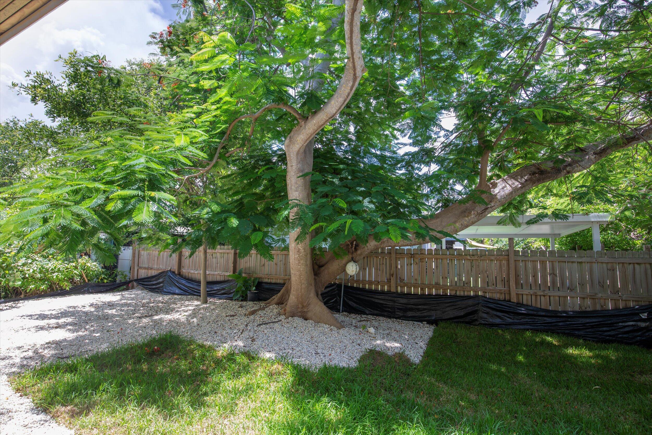 31349 Avenue C Property Photo 45