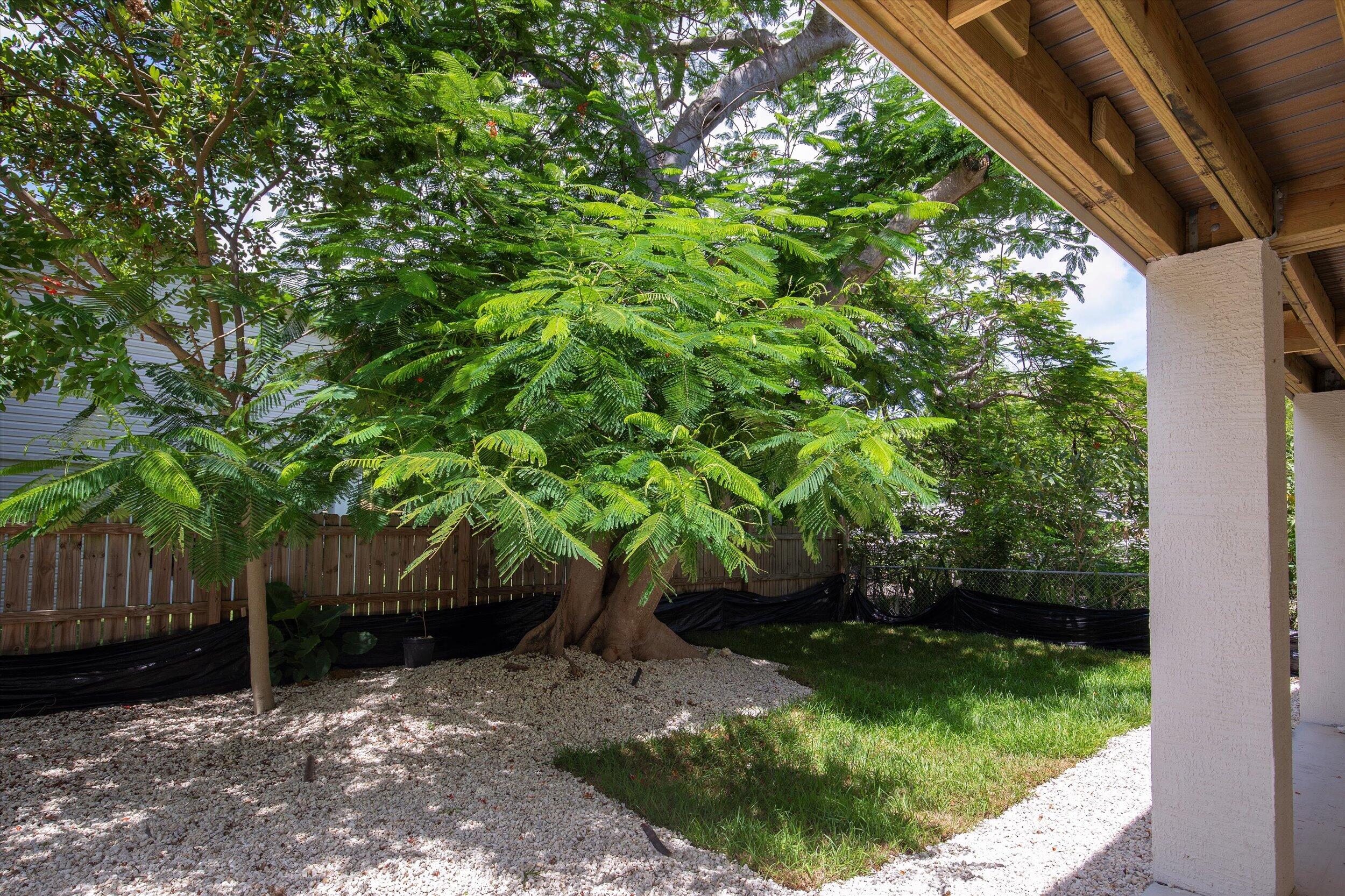 31349 Avenue C Property Photo 46