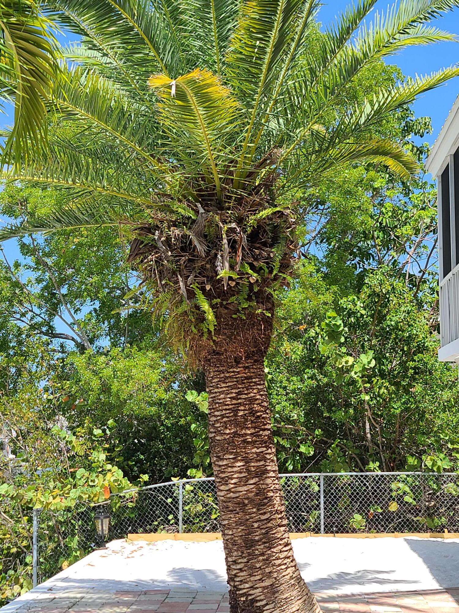 14 S Exuma Road Property Photo 30