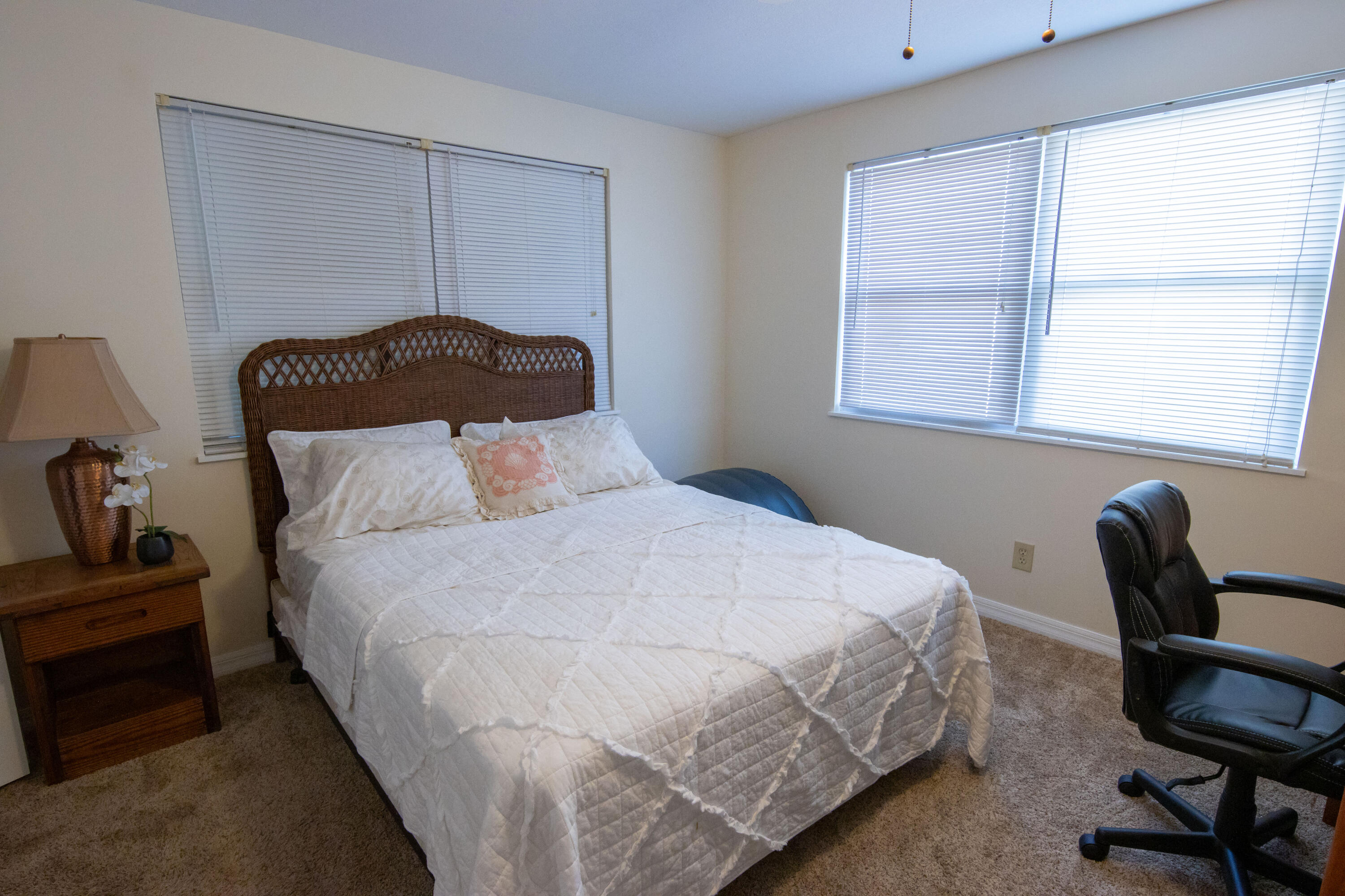 29030 Iris Drive Property Photo 15