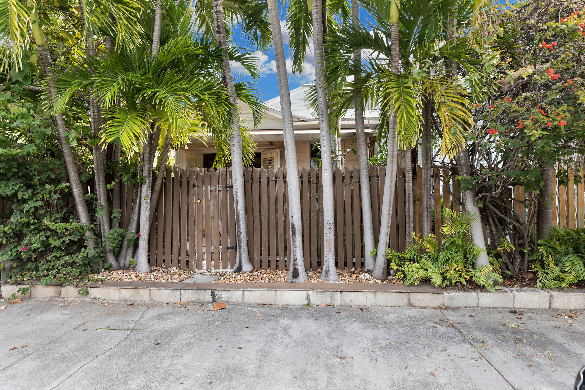 651 William Street, 1 Property Photo 23