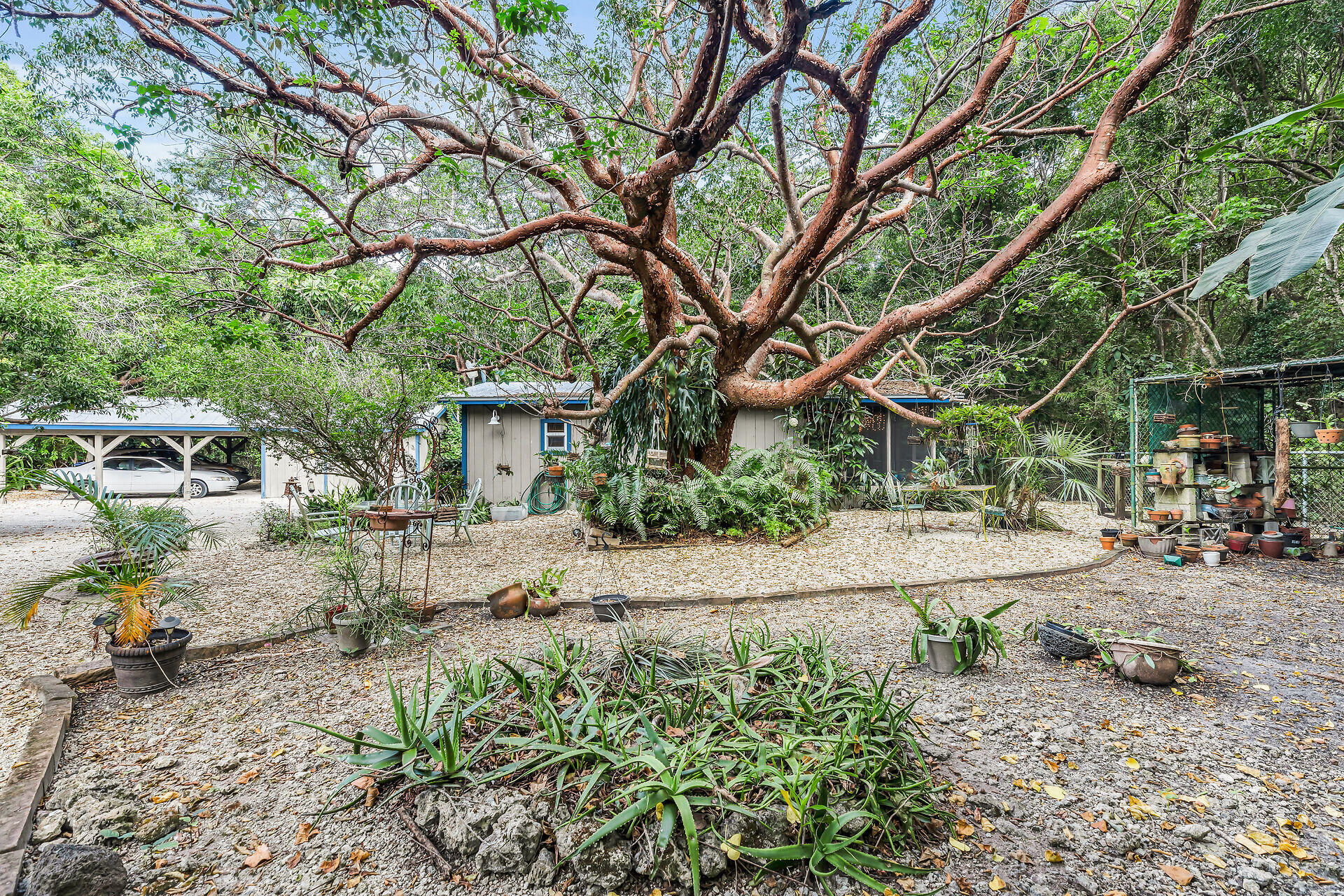 19 Bowen Drive Property Photo 32
