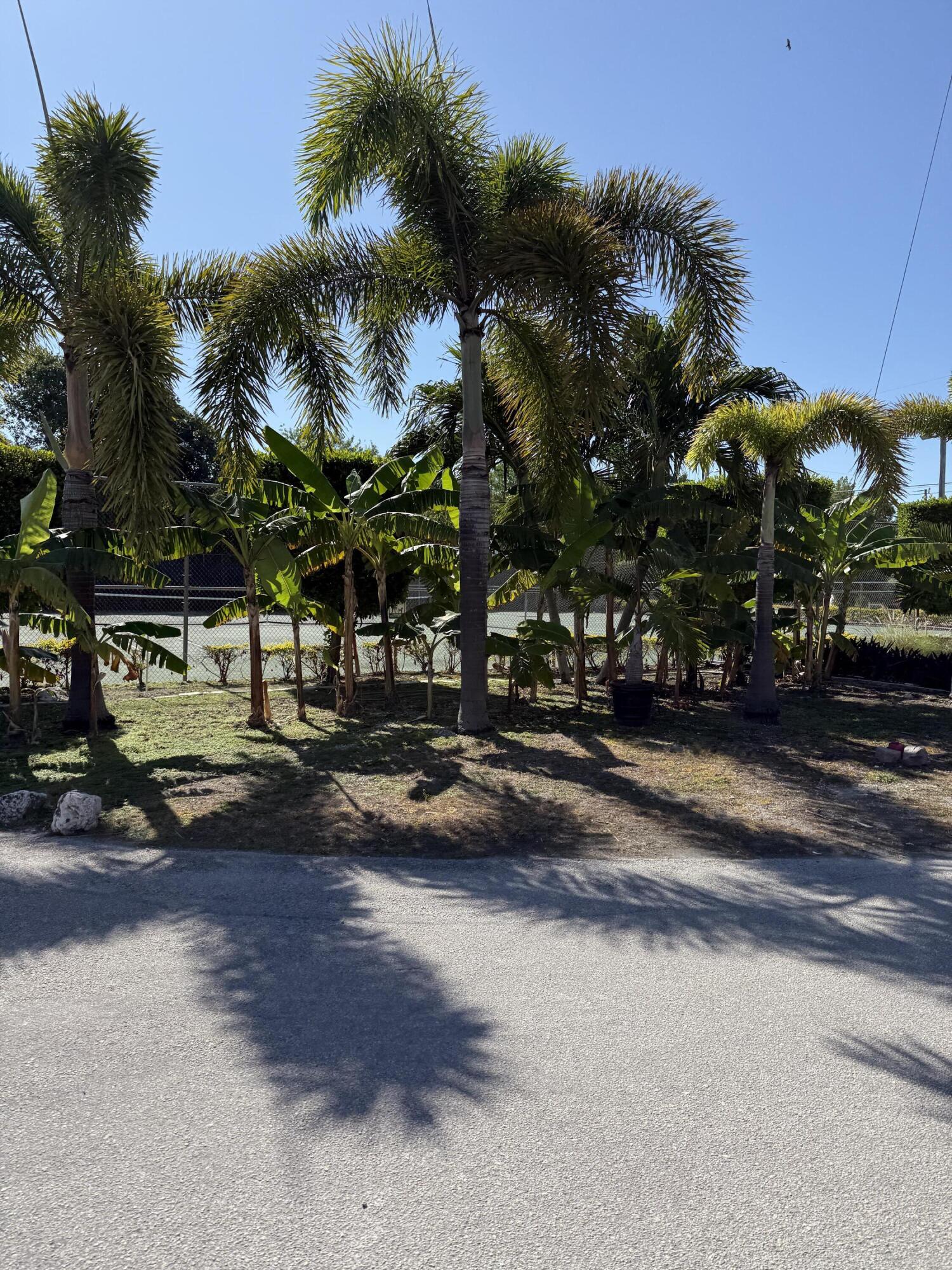 325 Calusa Street, #393 Property Photo 34