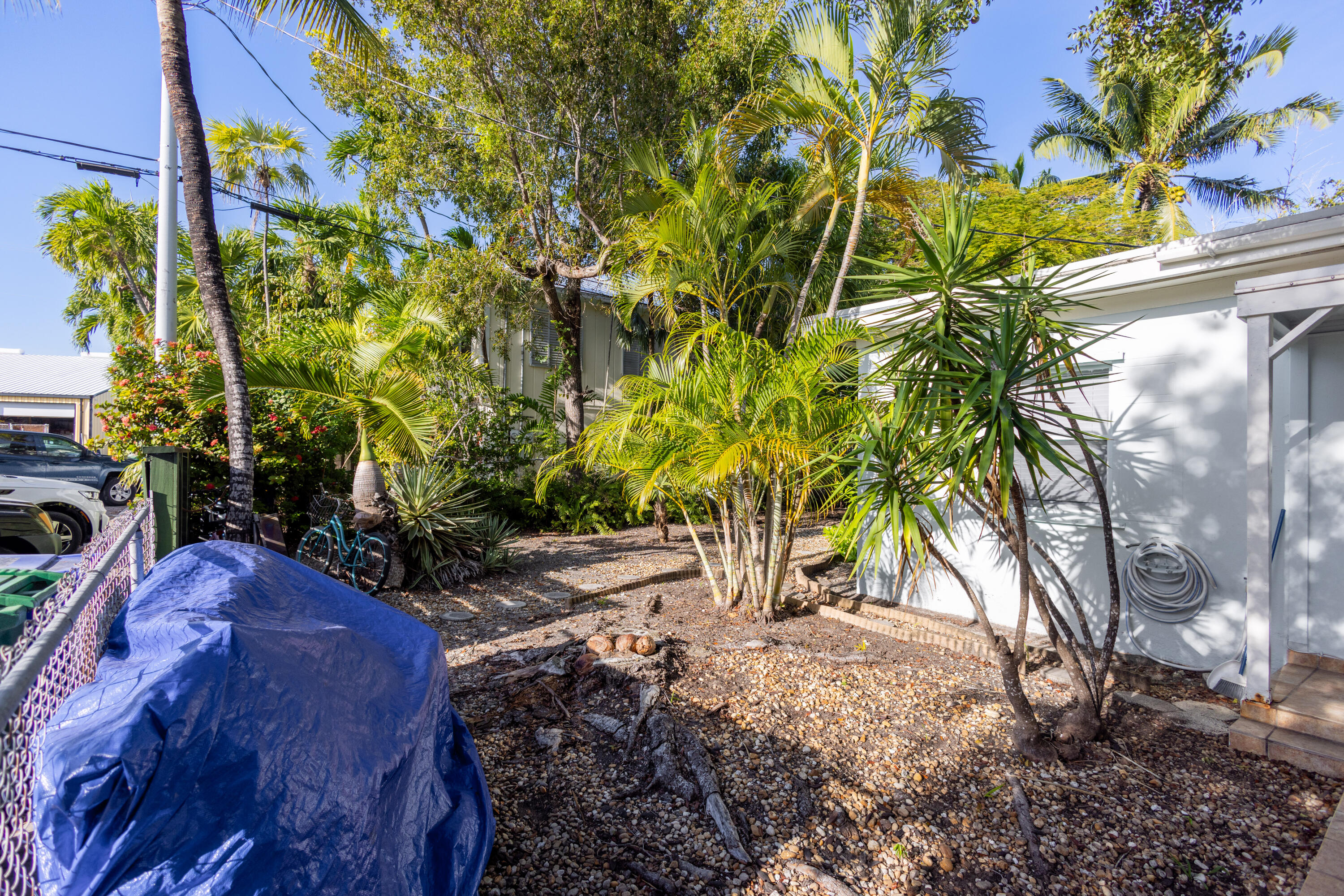 1215 Bay Street Property Photo 4