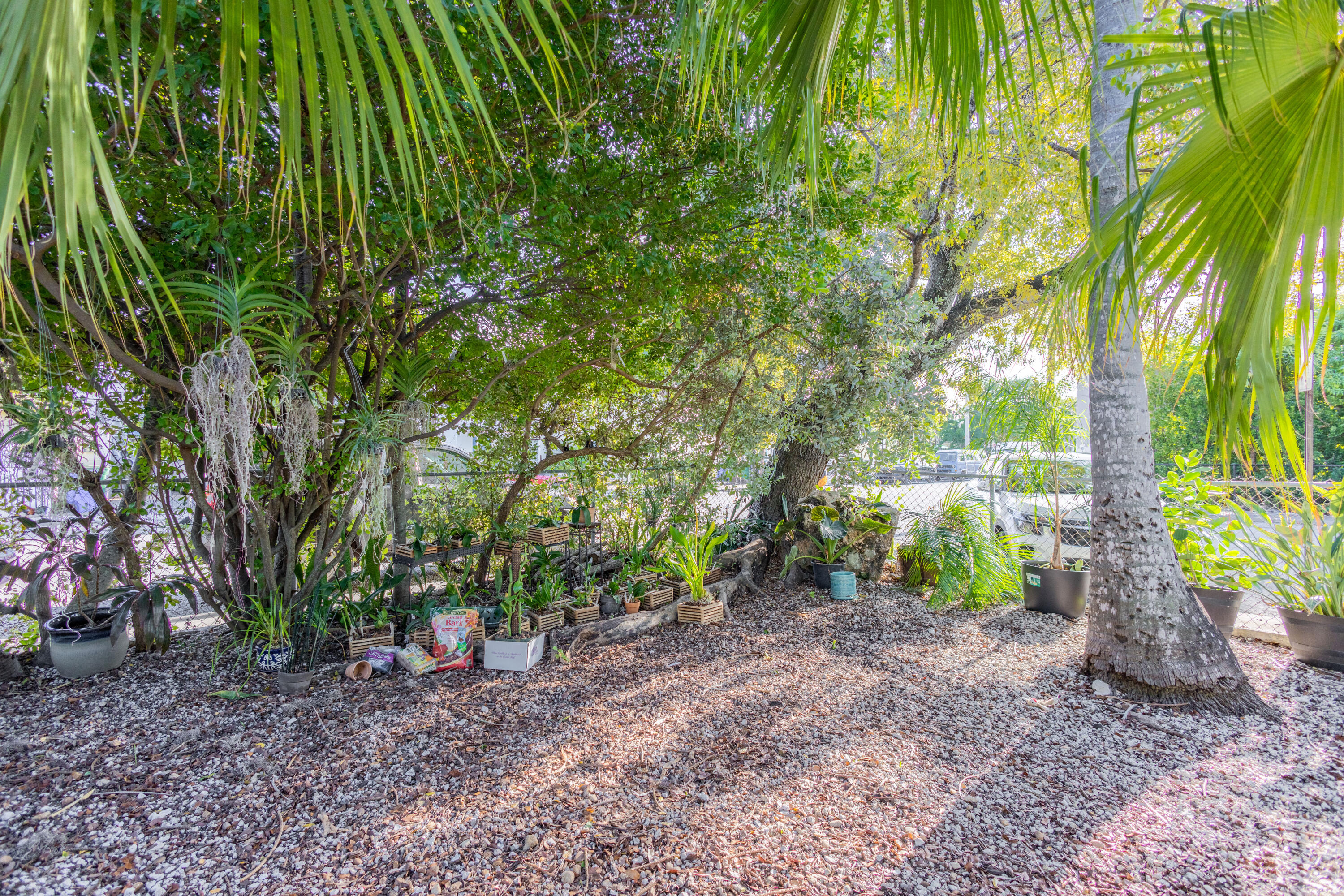 1215 Bay Street Property Photo 15