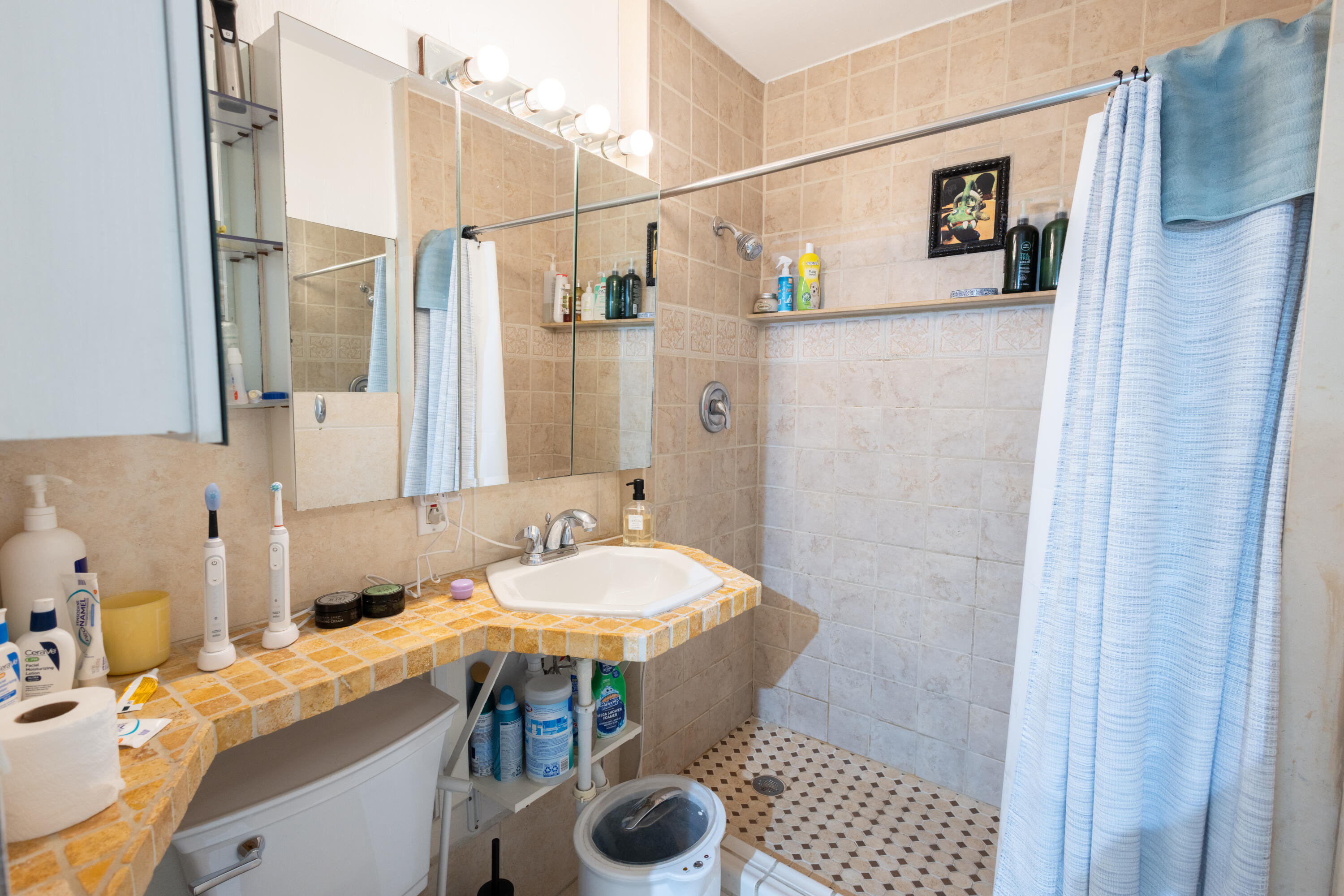 1215 Bay Street Property Photo 29