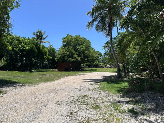 150 List Street Property Photo 5