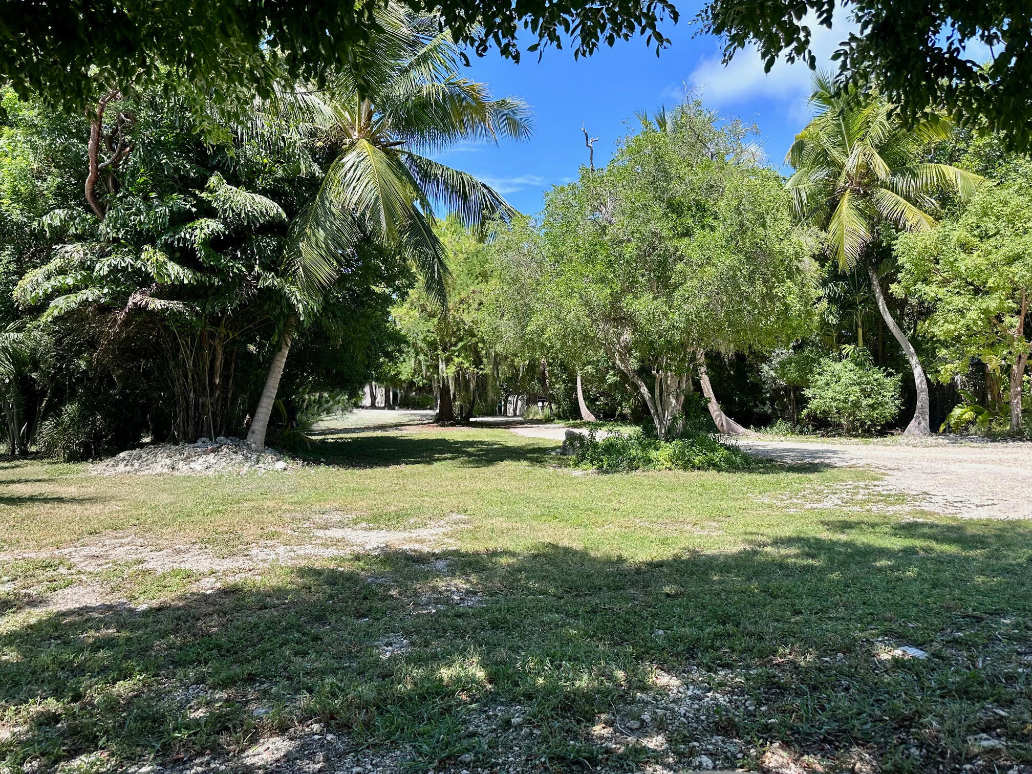 150 List Street Property Photo 26