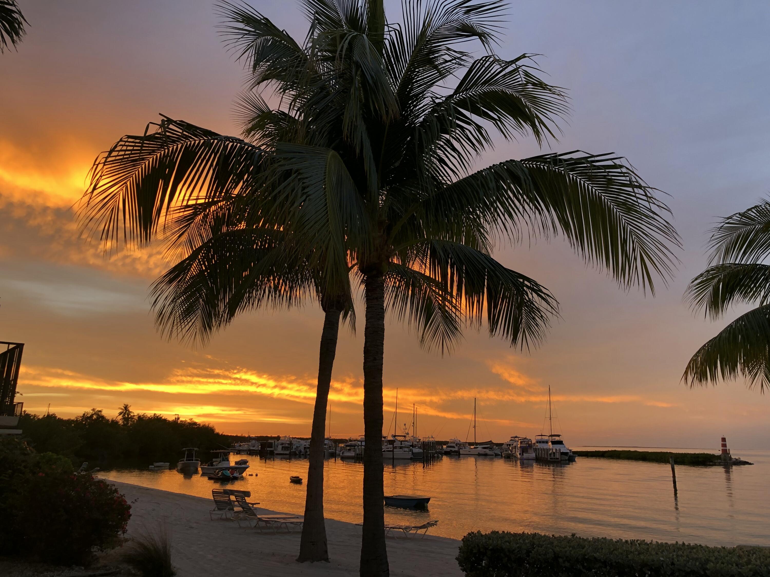 87200 Overseas Highway, J4 Property Photo 45