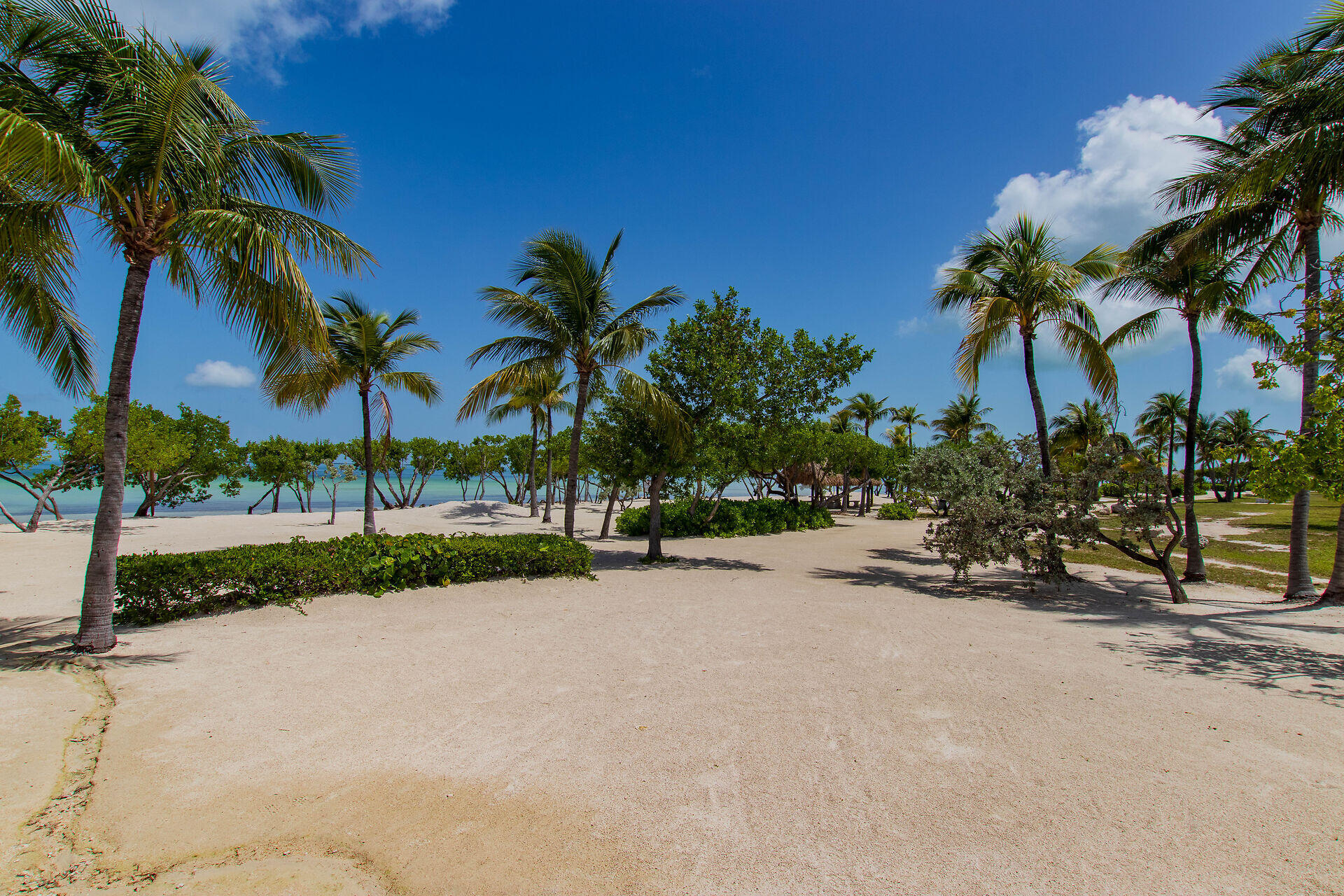 186 Biscayne Boulevard Property Photo 43