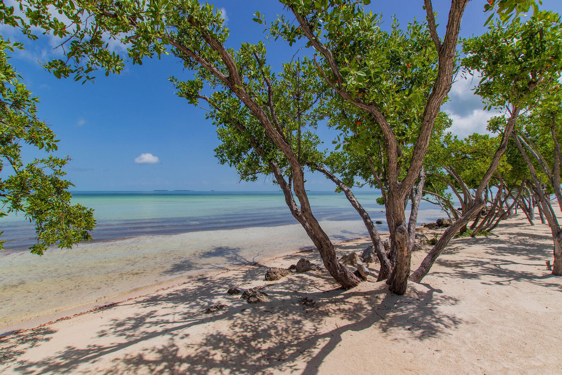 186 Biscayne Boulevard Property Photo 45