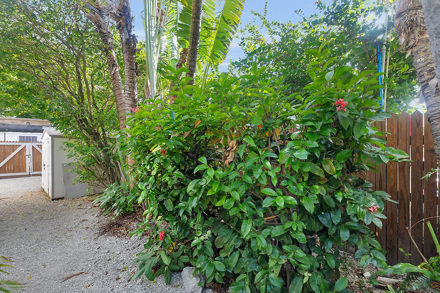 1211 Catherine Street Property Photo 29