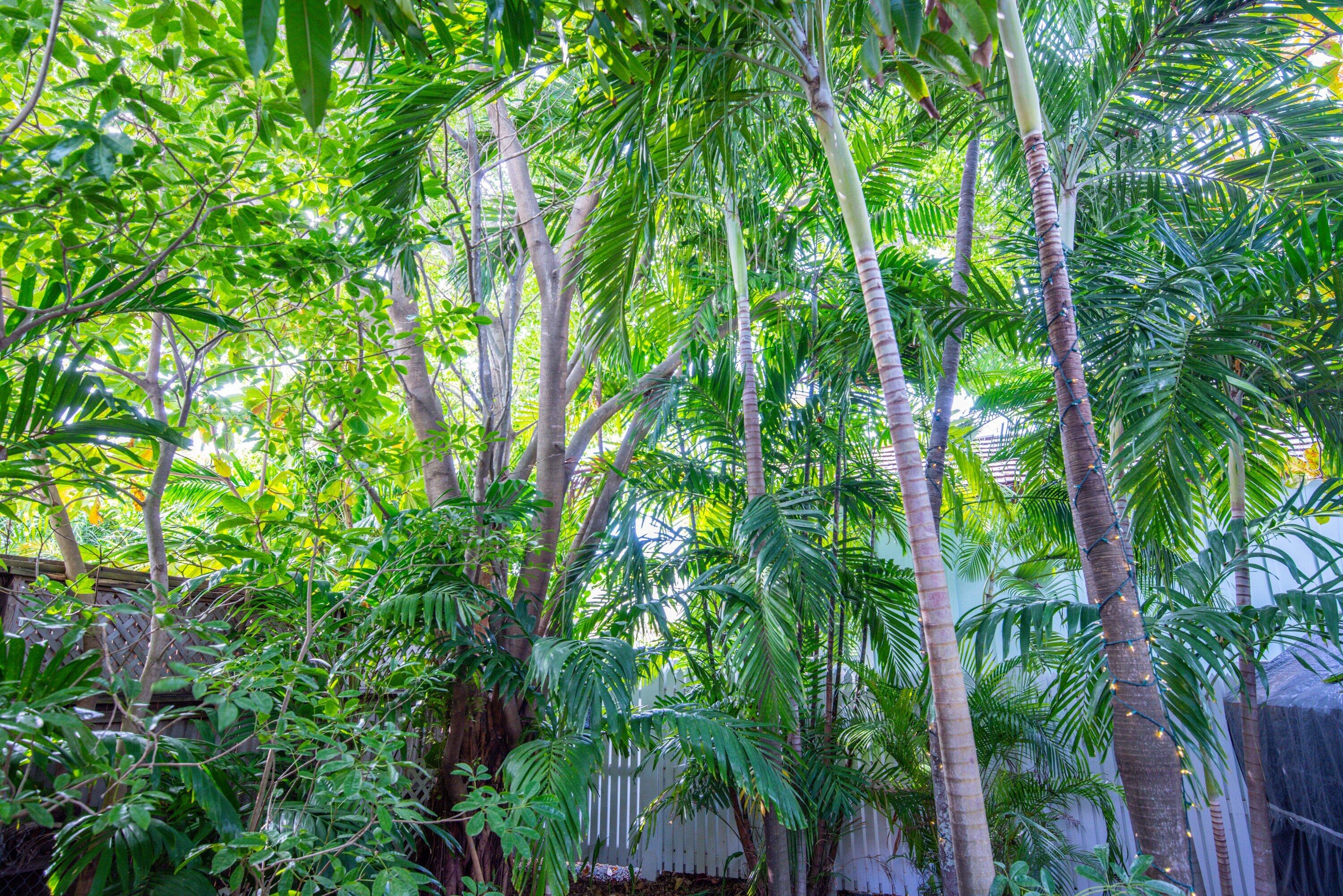 618 Ashe Street Property Photo 43