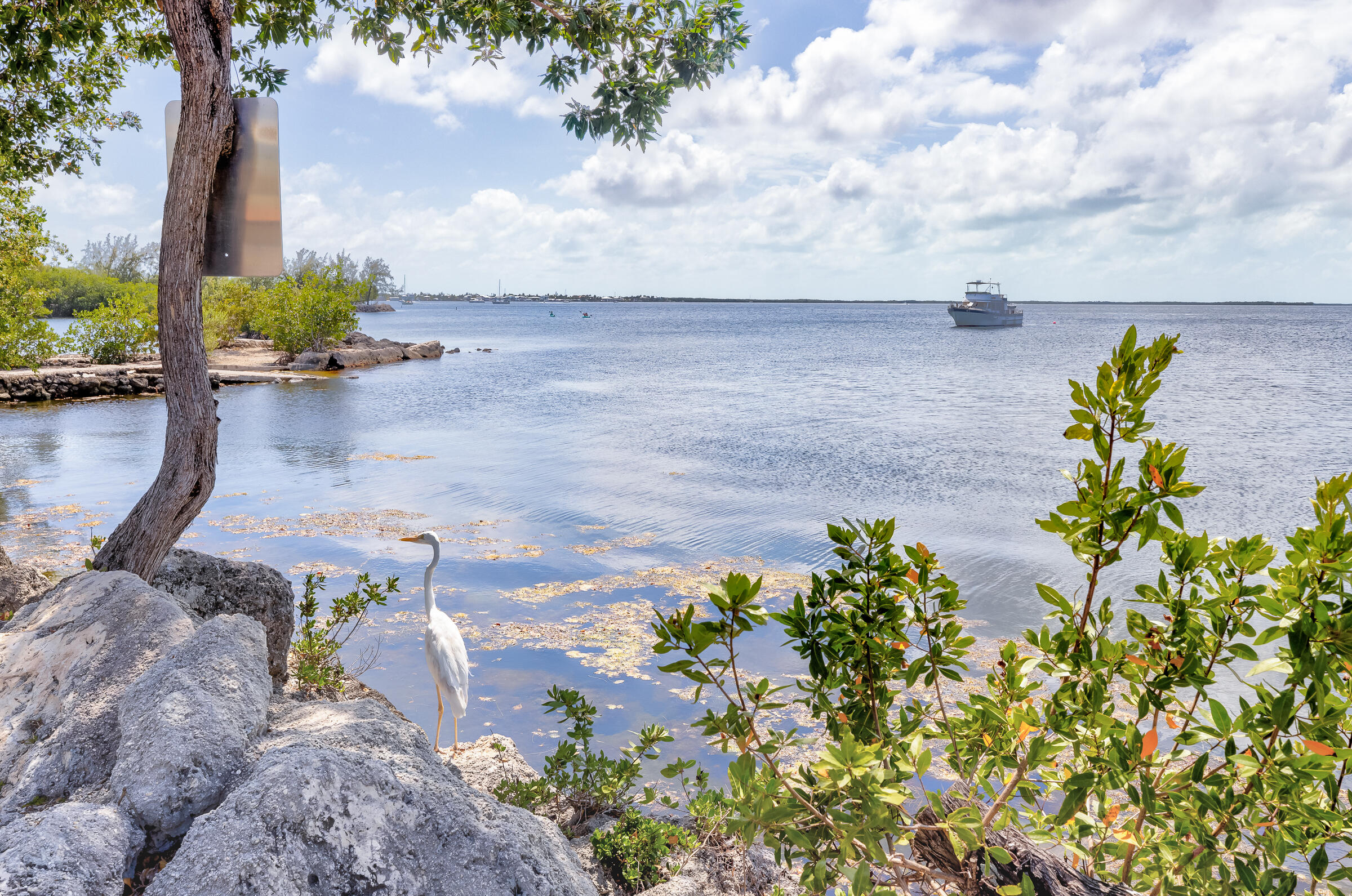 104500 Overseas Highway, B202 Property Photo 37
