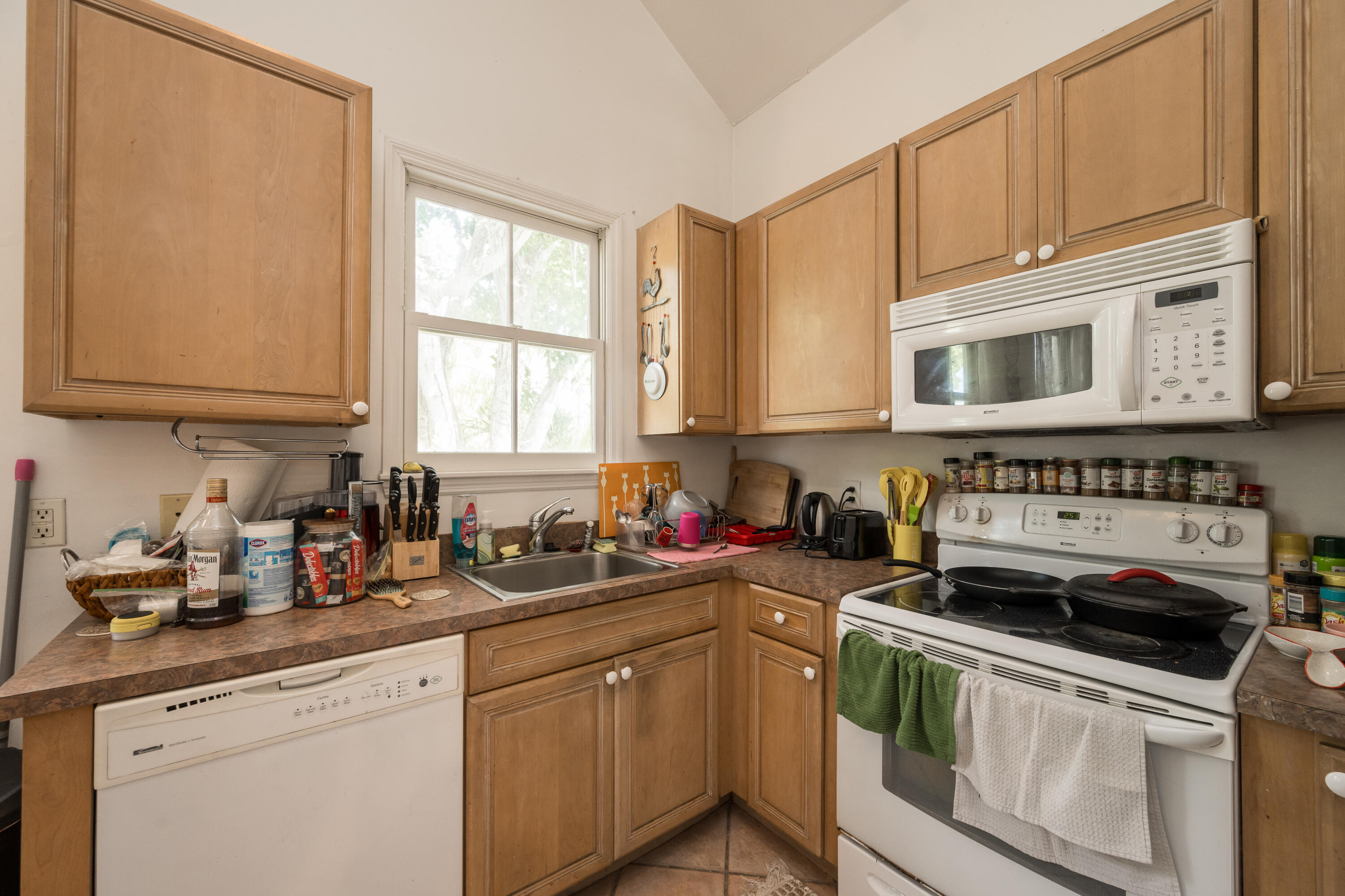 405 Petronia Street Property Photo 12