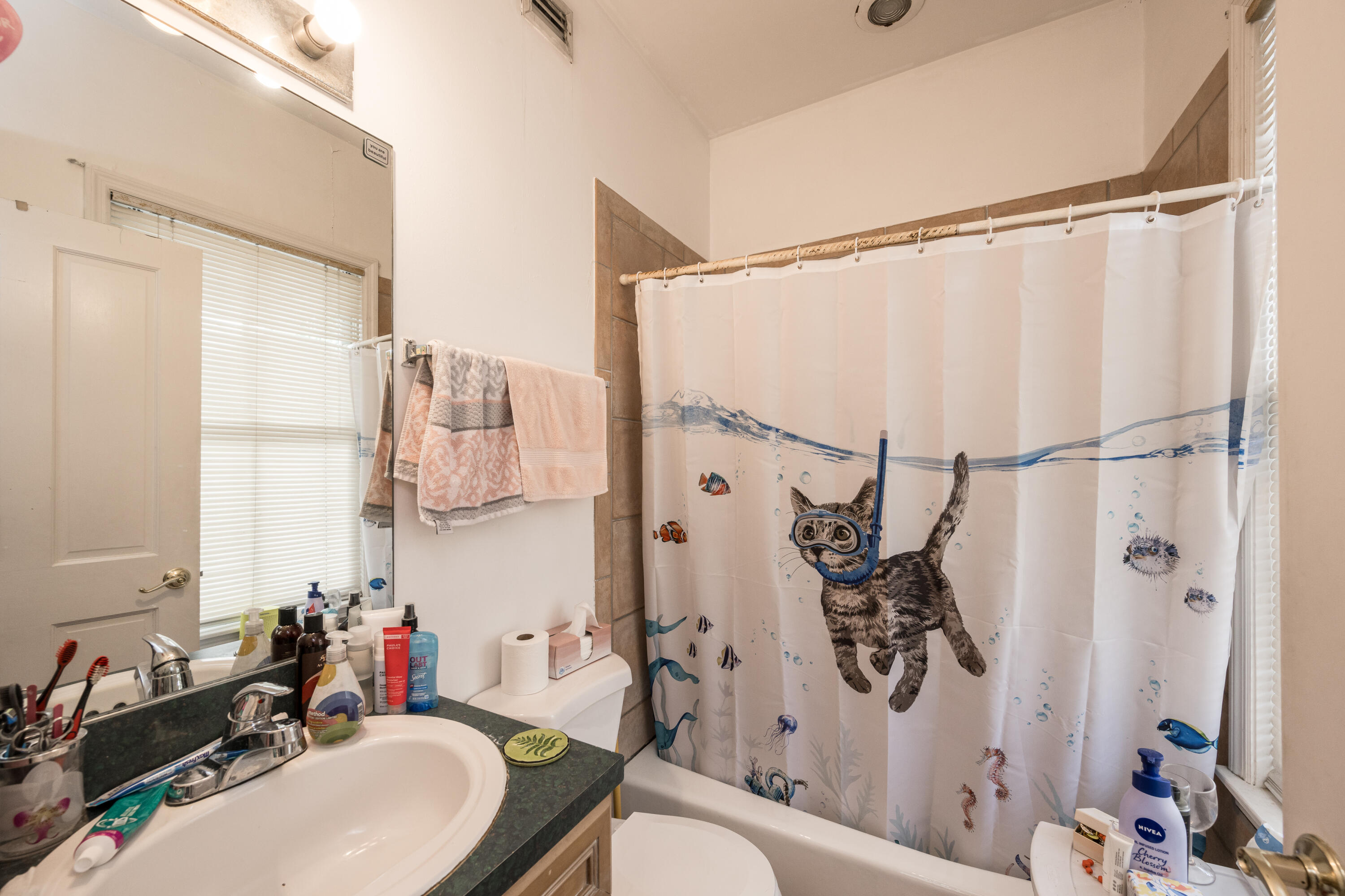 405 Petronia Street Property Photo 16