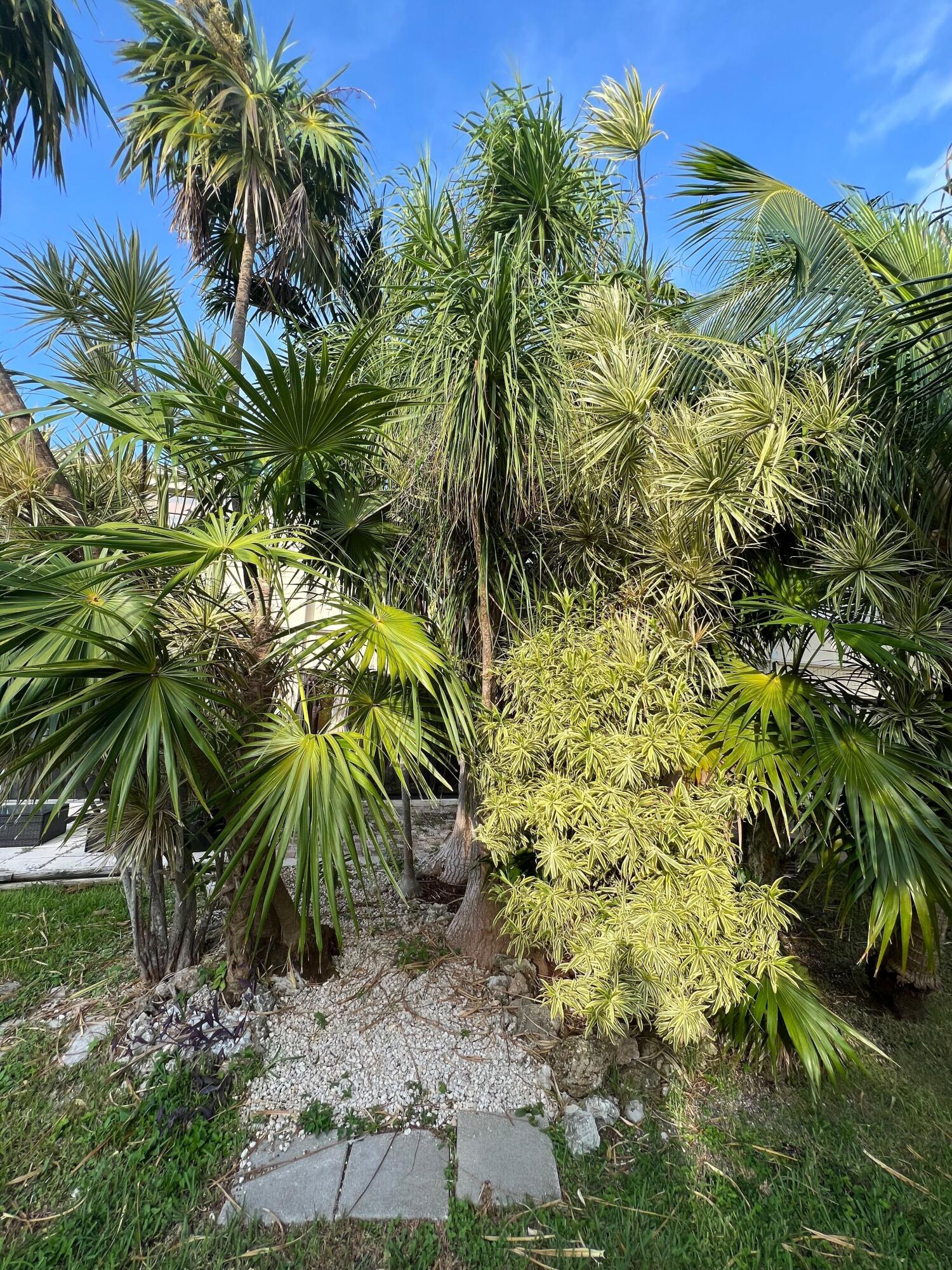 87200 Overseas Highway V9 Property Photo 60