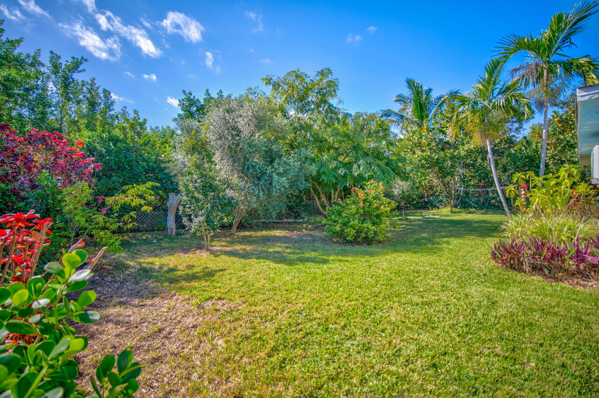 30324 Hibiscus Lane Property Photo 23