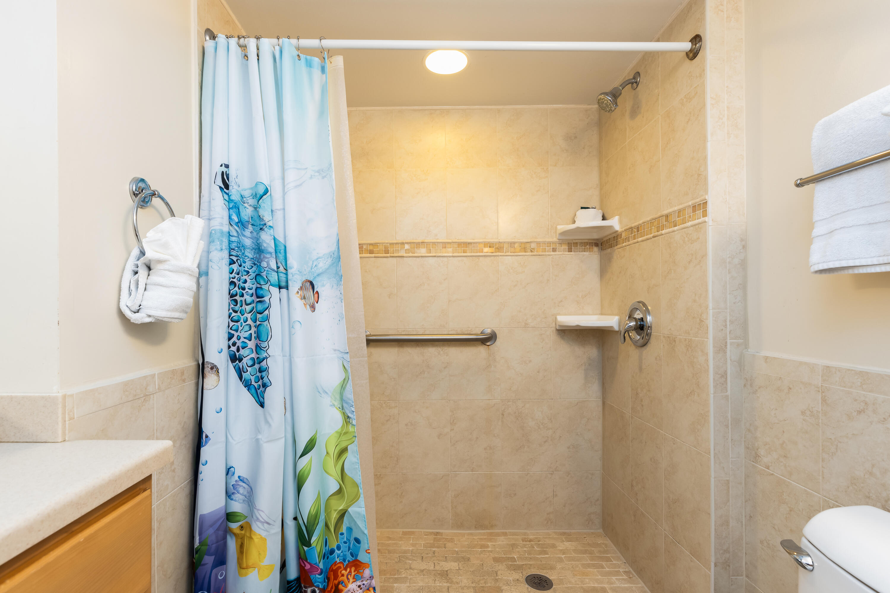 500 Burton Drive, 5202 Property Photo 52