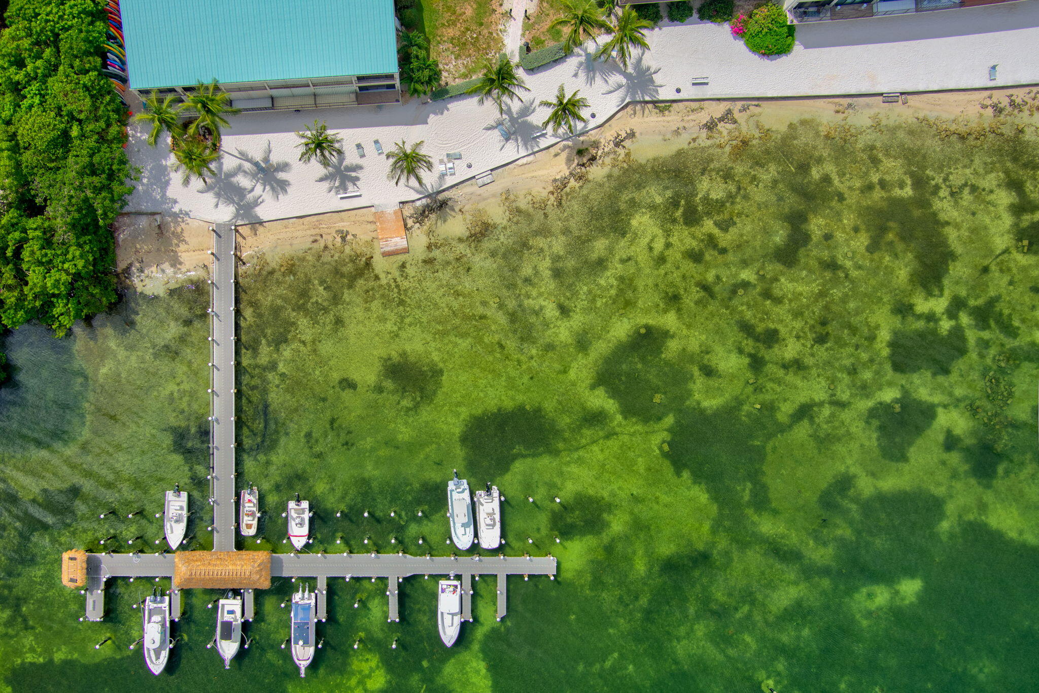87200 Overseas Highway, O8 Property Photo 29