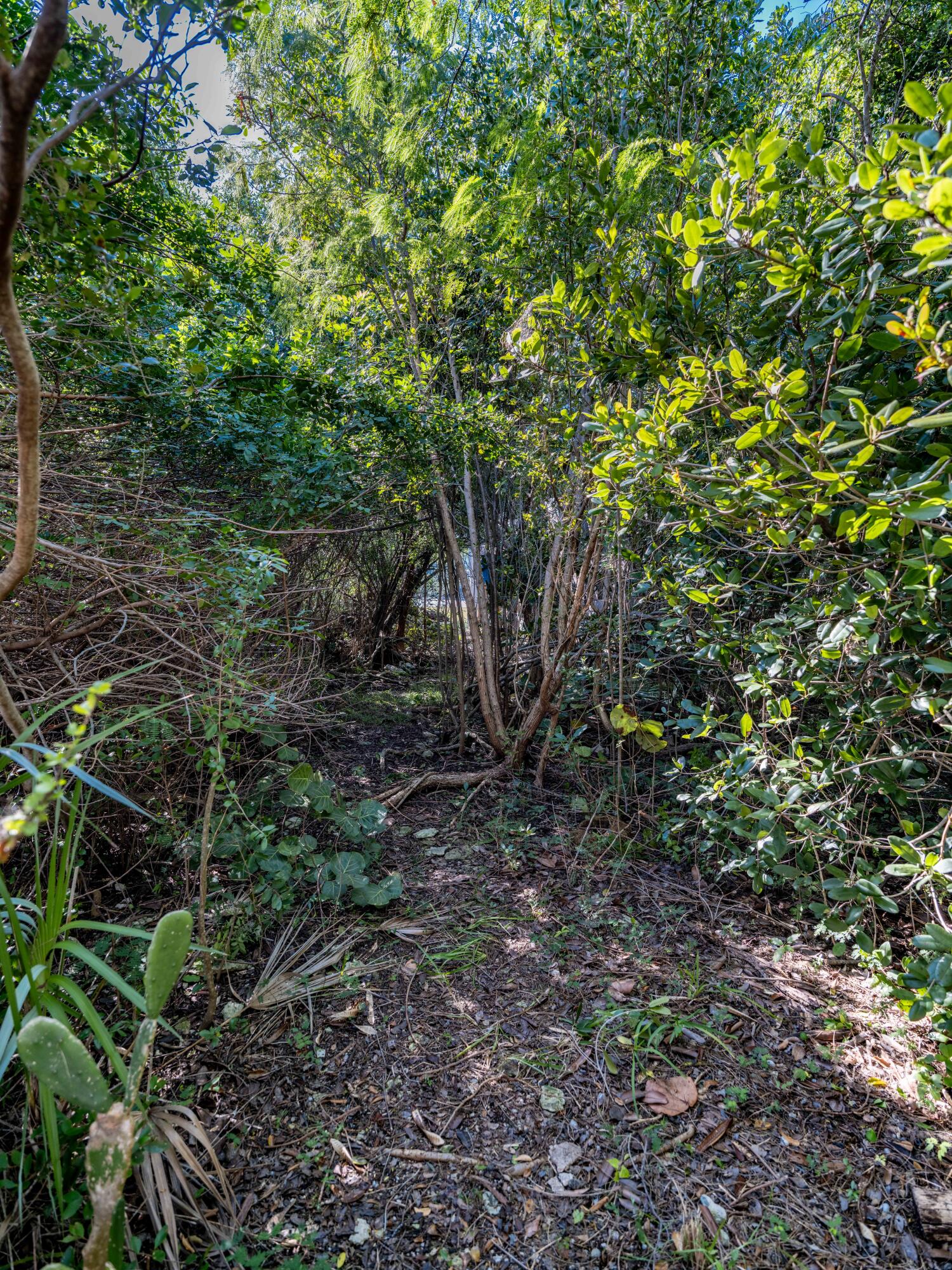 529 W Shore Drive Property Photo 39