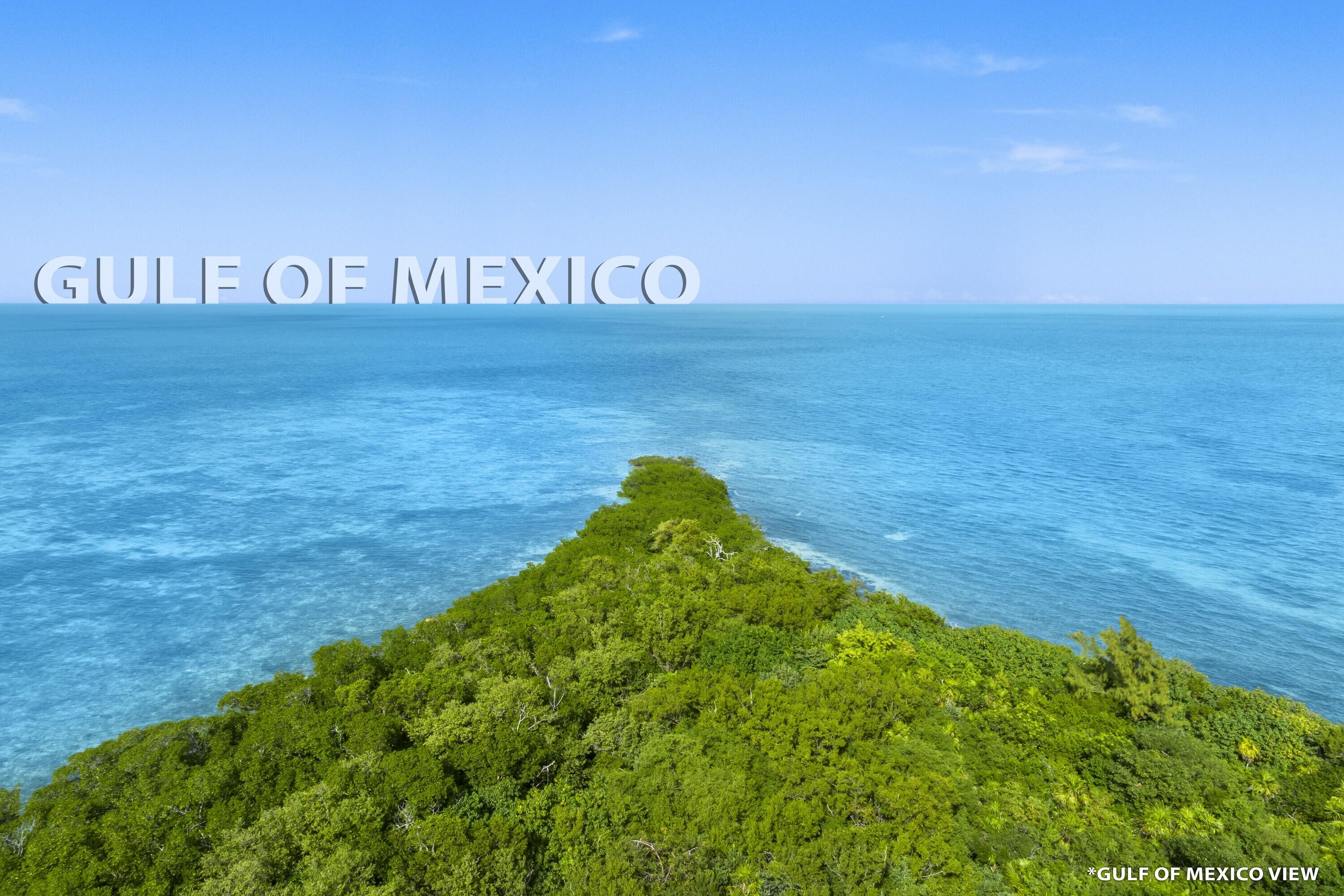 Gulf Of Mexico Boulevard Property Photo 1