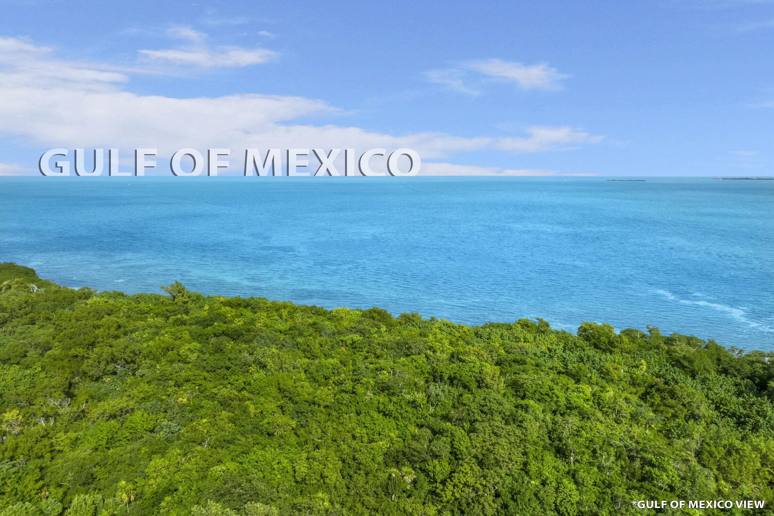 Gulf Of Mexico Boulevard Property Photo 6