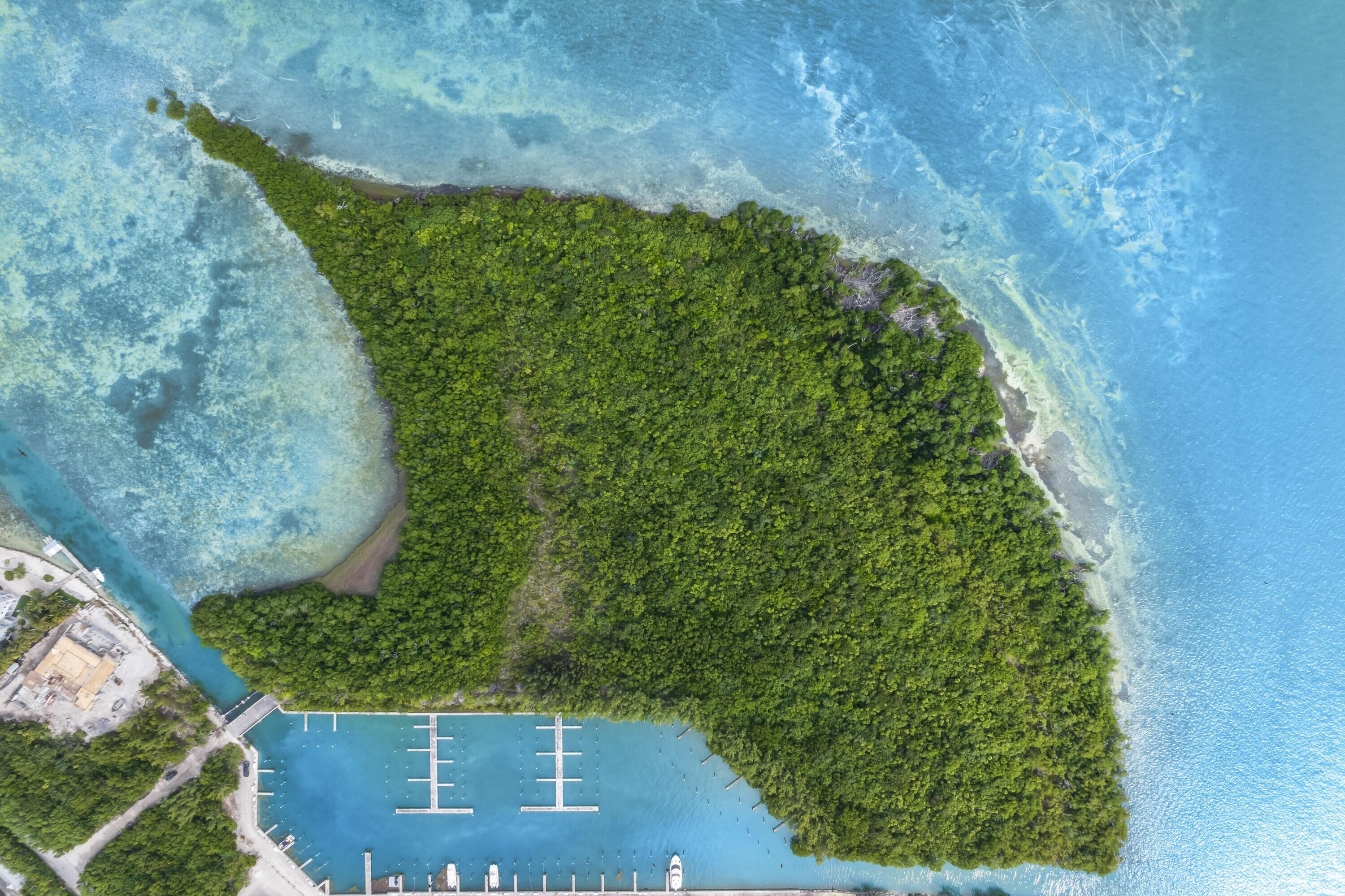 Gulf Of Mexico Boulevard Property Photo 7