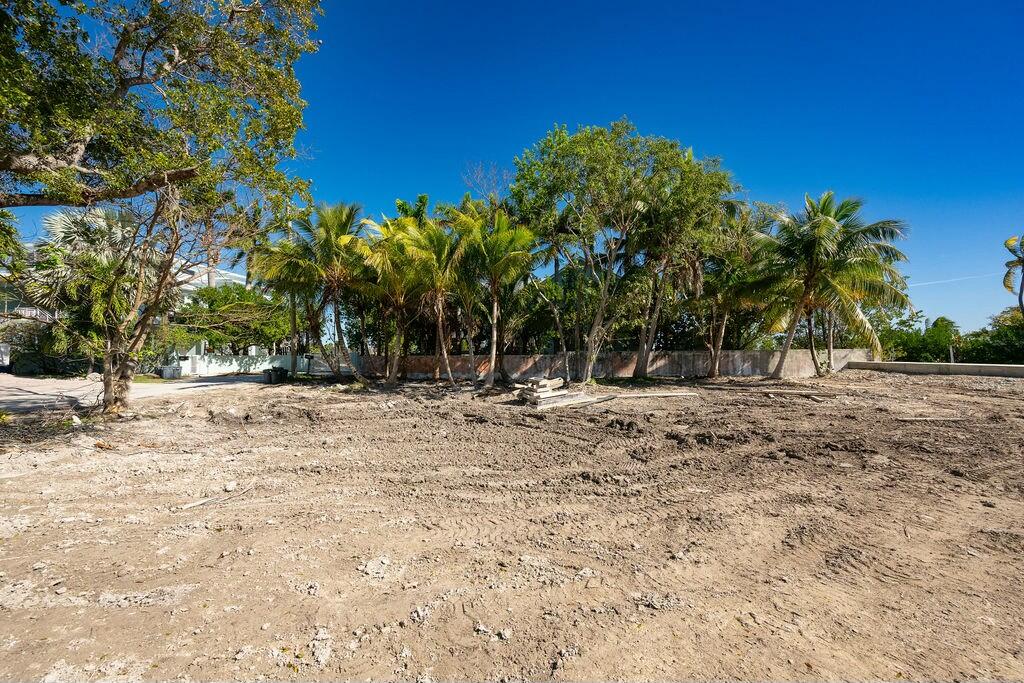 17230 Angelfish Lane Property Photo 15