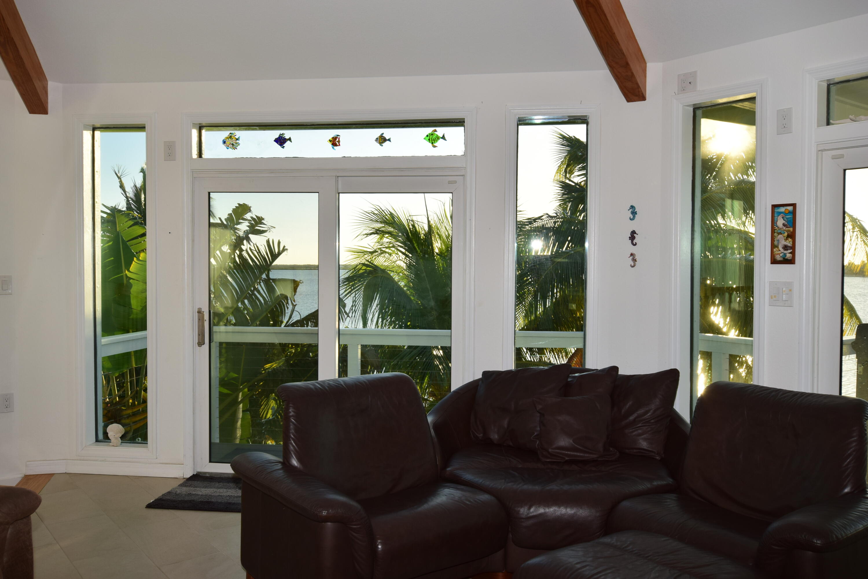 76 Palm Drive Property Photo 19