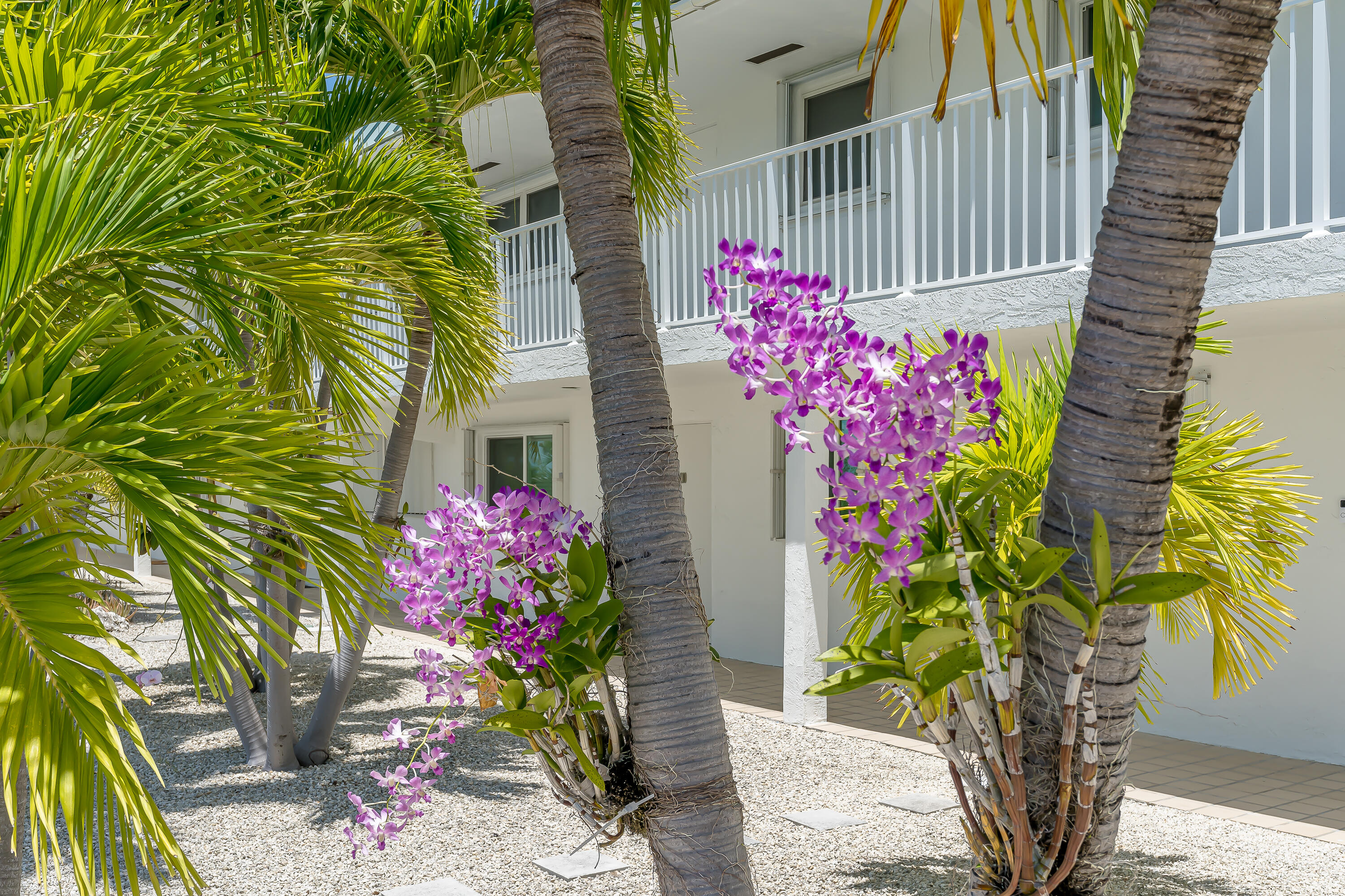 9 Sombrero Boulevard, 204 Property Photo 32