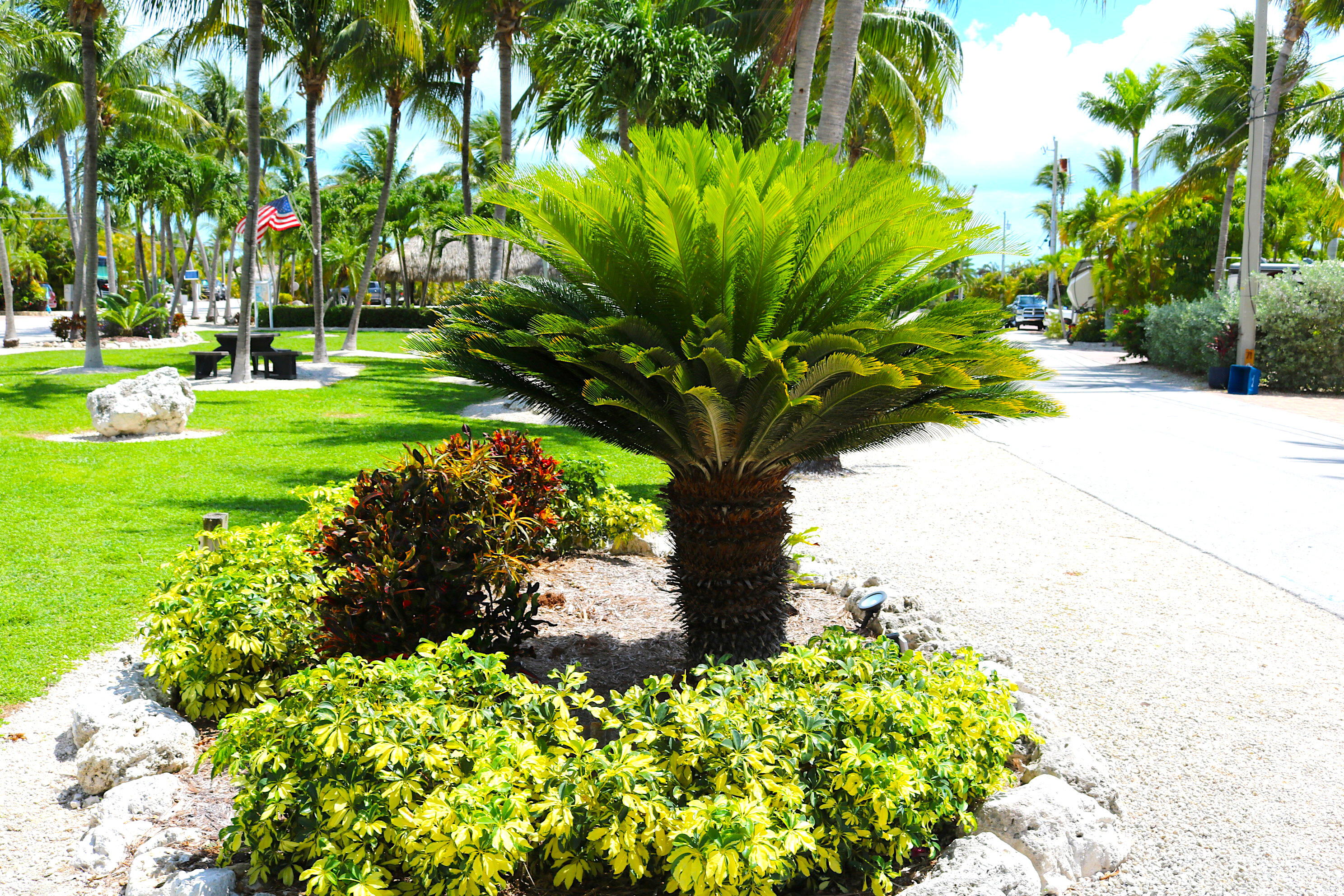 2950 Overseas Highway, 2 Property Photo 35
