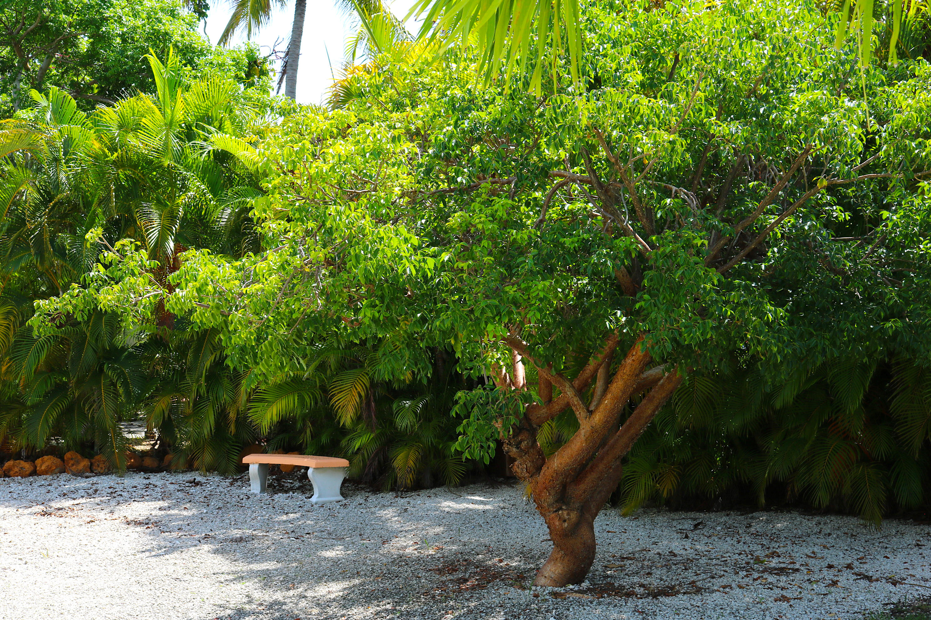 2950 Overseas Highway, 2 Property Photo 40