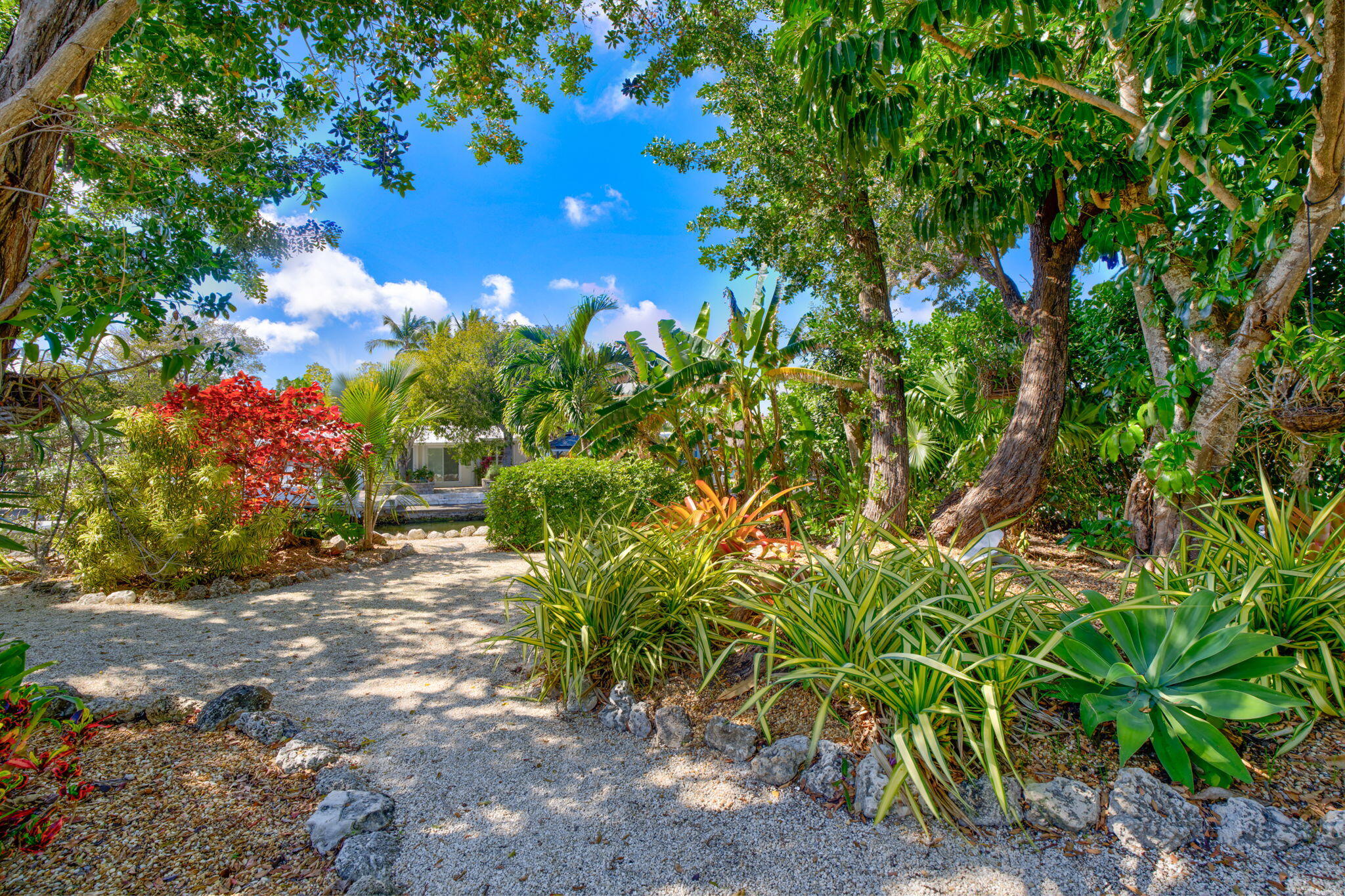 30985 Hibiscus Drive Property Photo 43