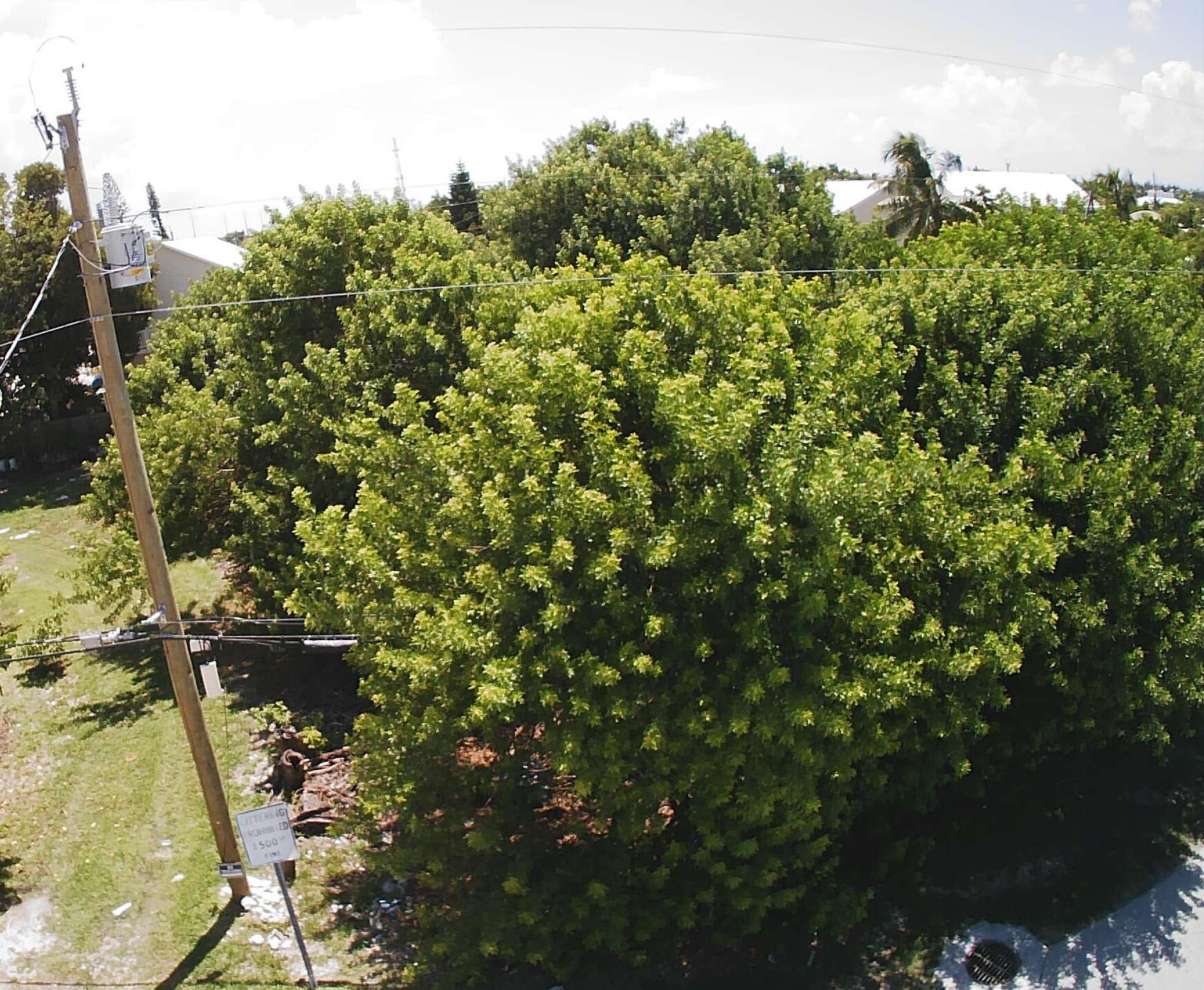 27th Street Ocean Property Photo 1