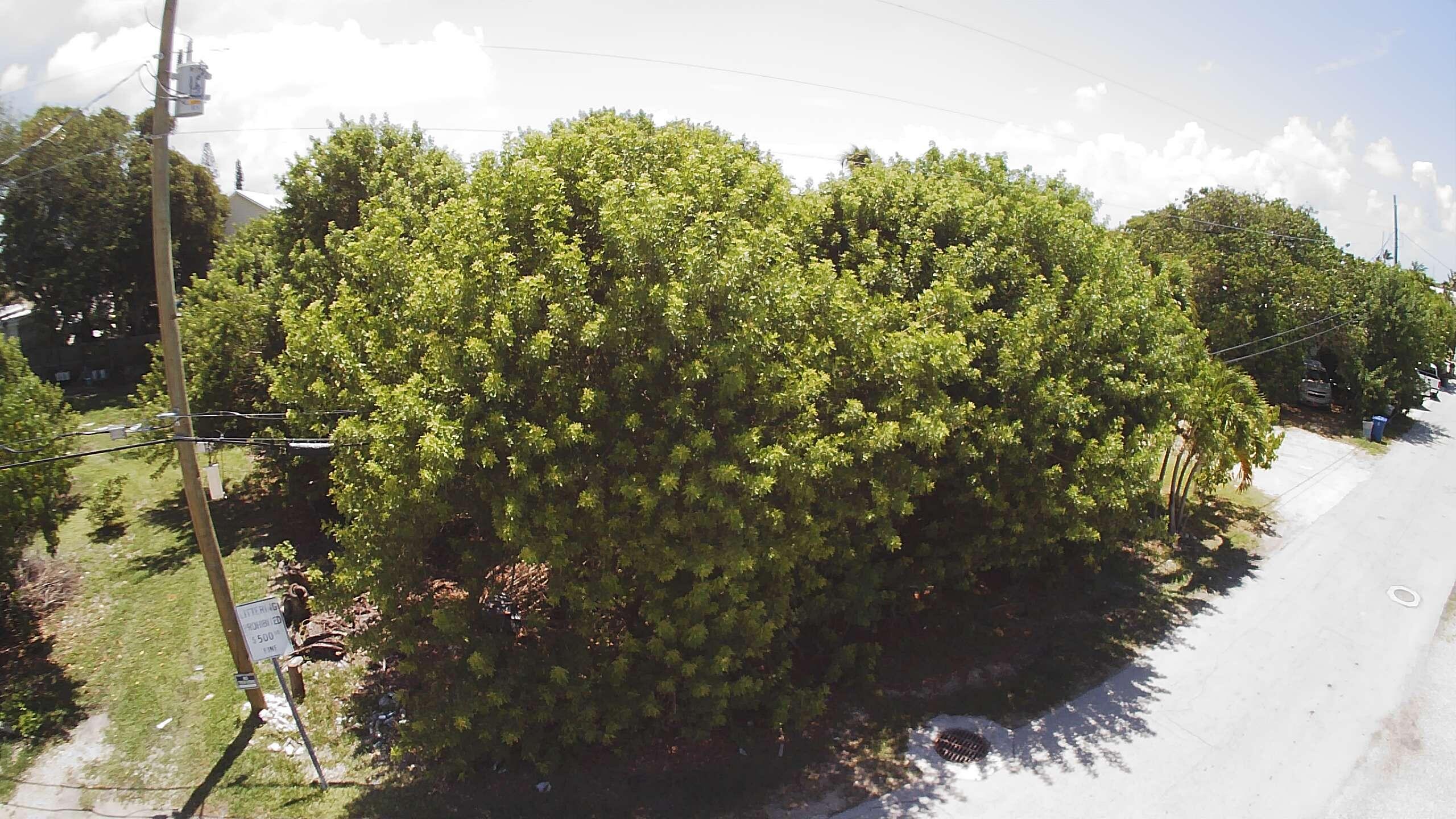 27th Street Ocean Property Photo 2